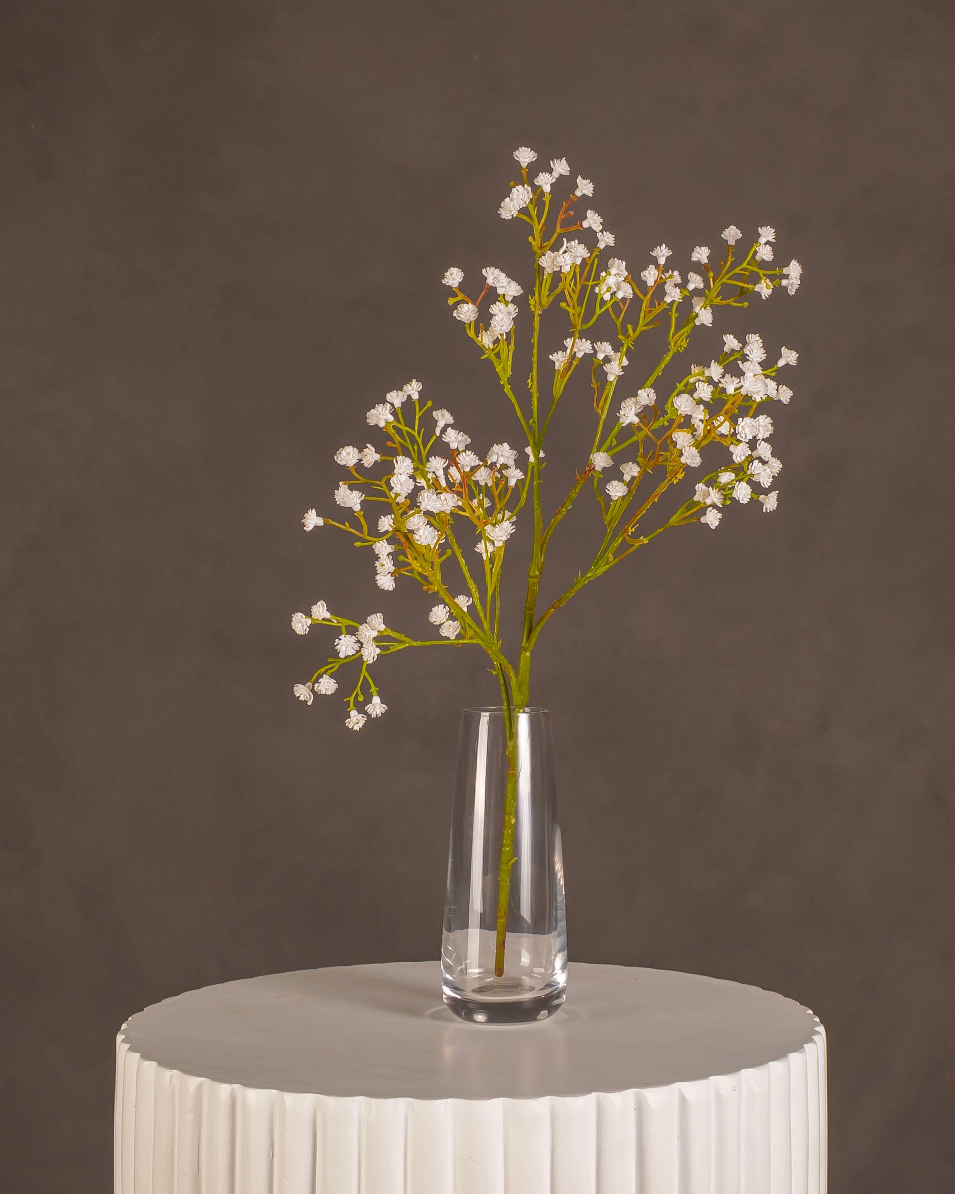 Baby's Breath