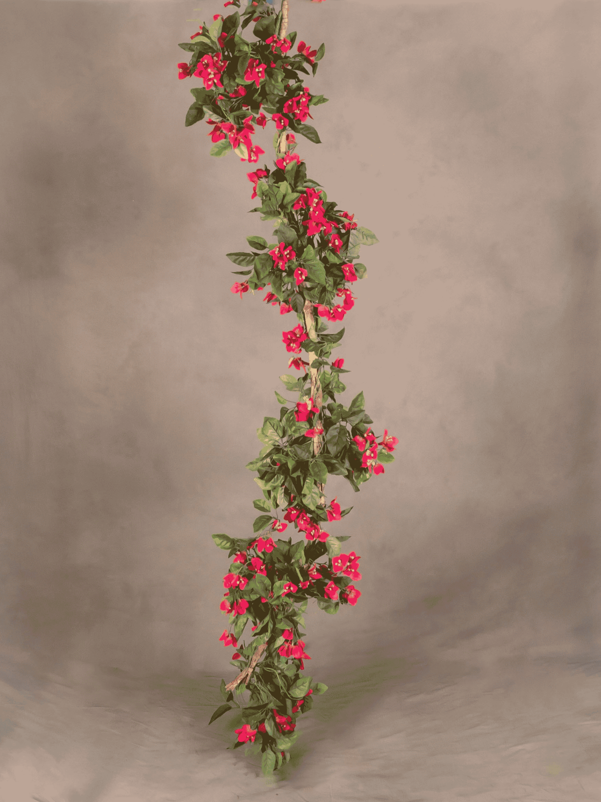 Bougainvillea Garland (high density)