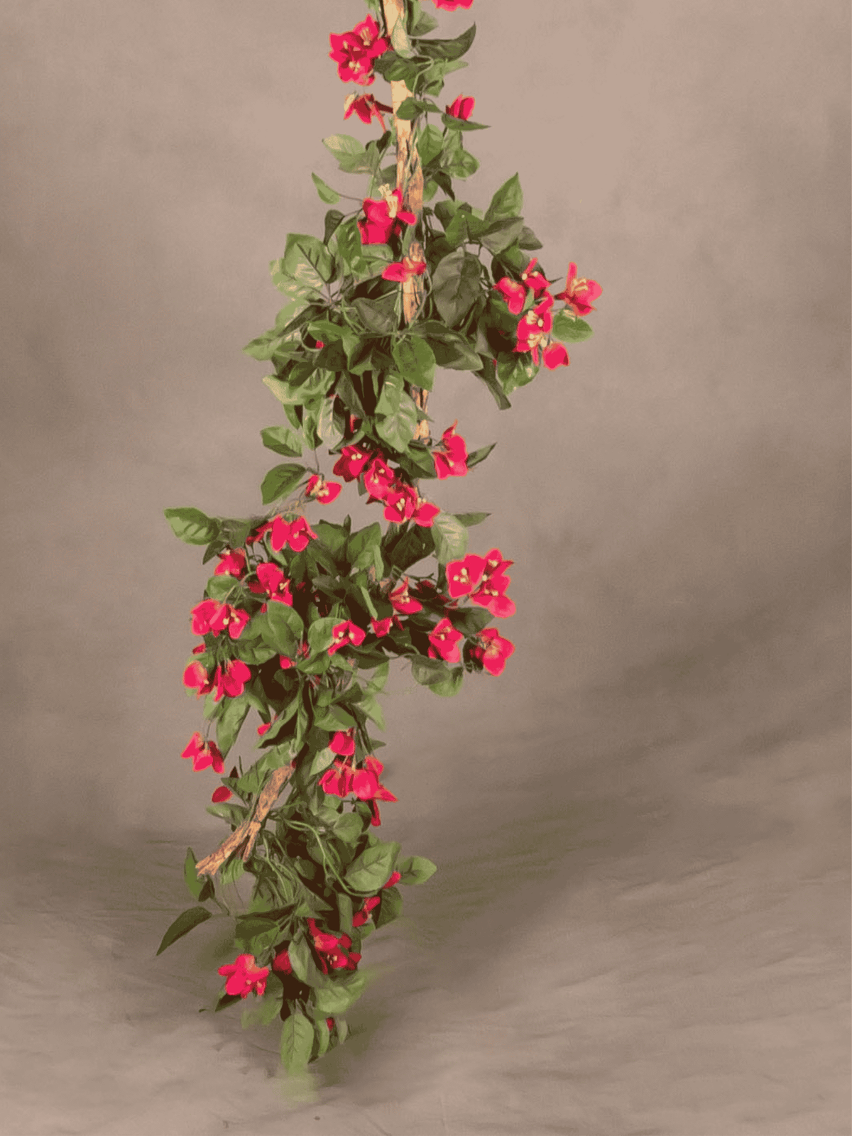 Bougainvillea Garland (high density)