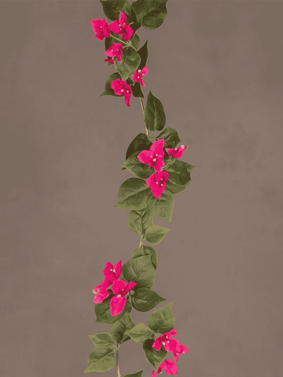 Bougainvillea Garland