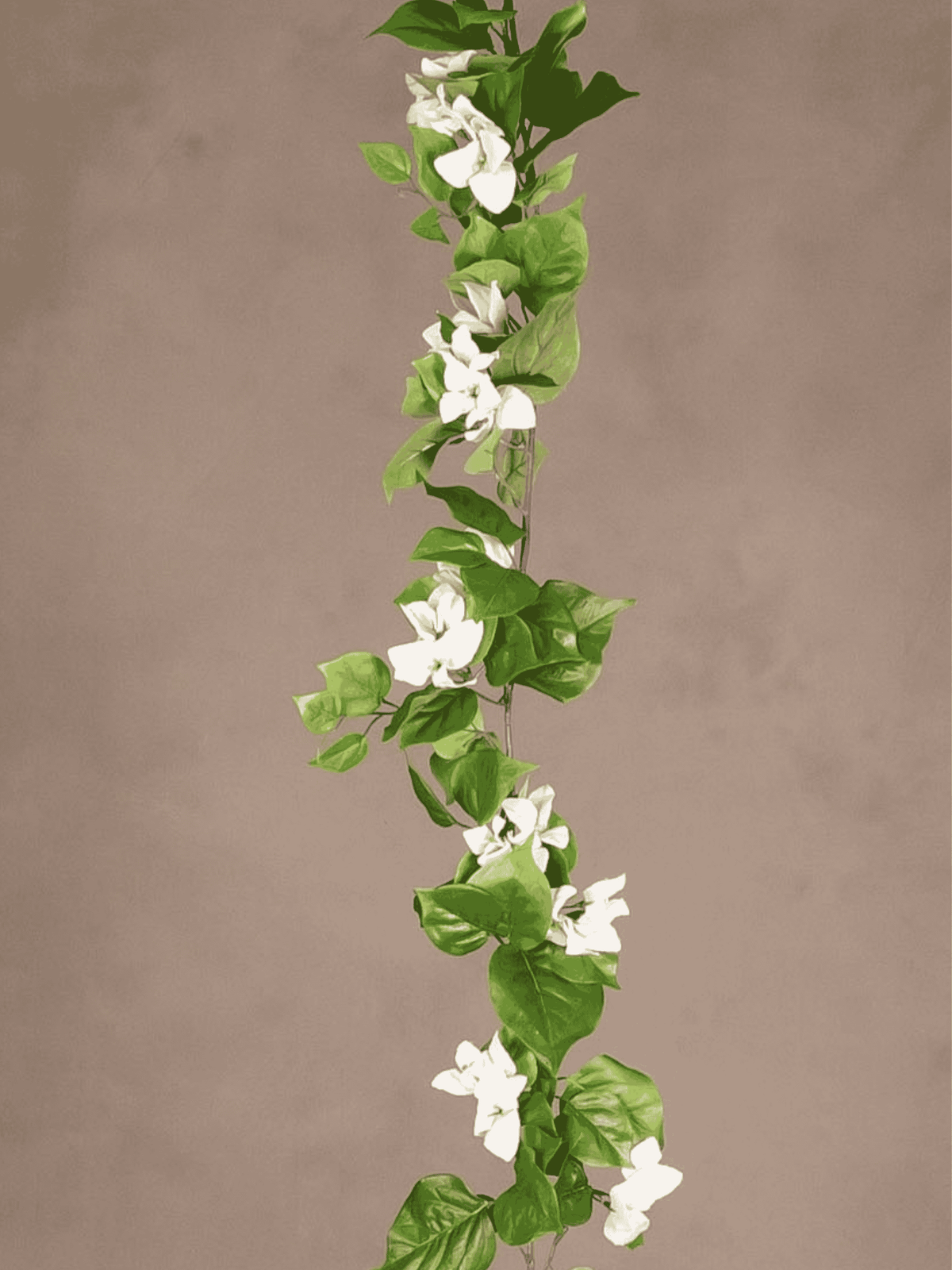 Bougainvillea Garland