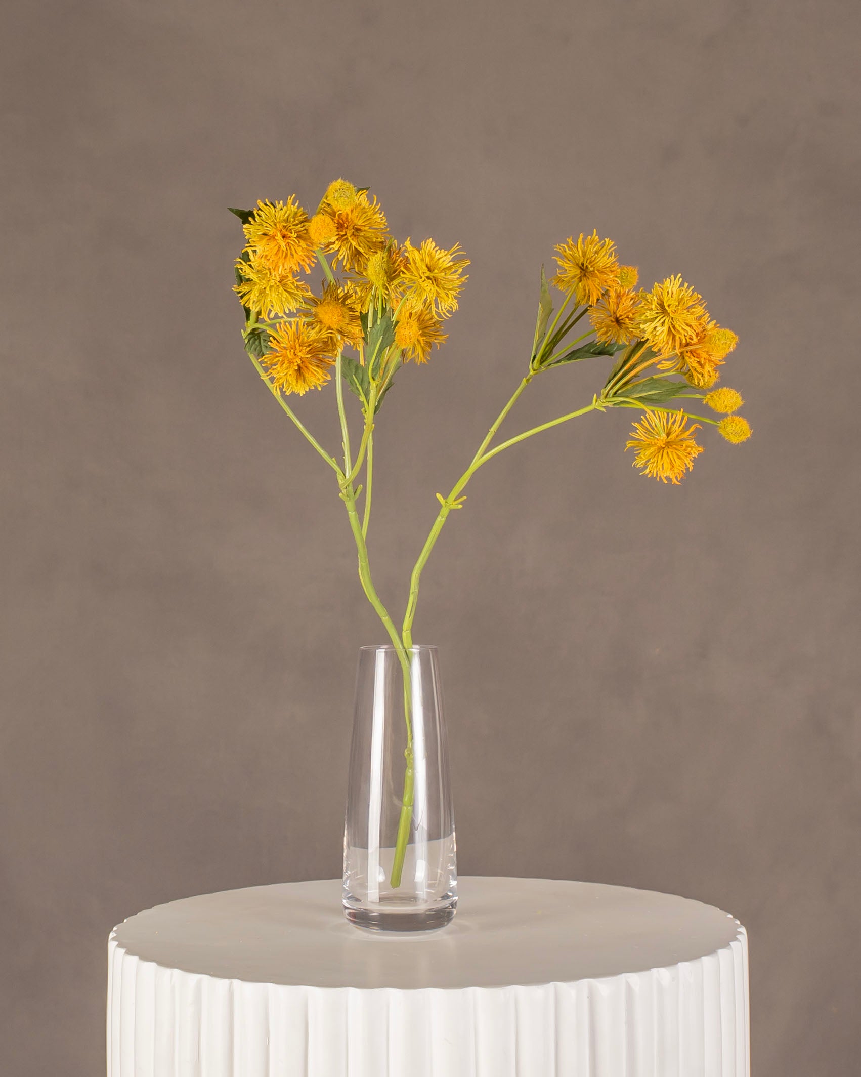 Bush Chrysanthemum