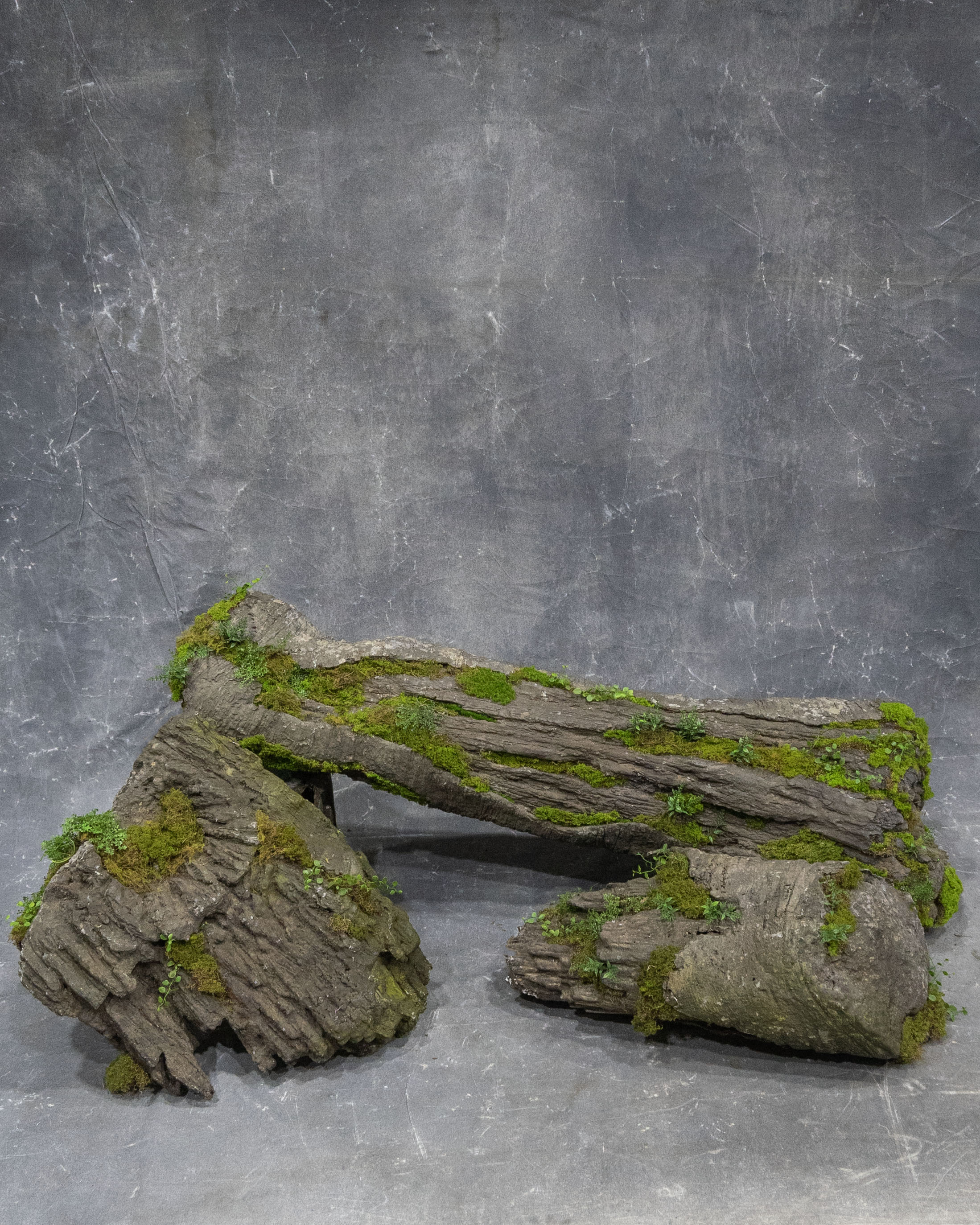 Rainforest Mossy Log