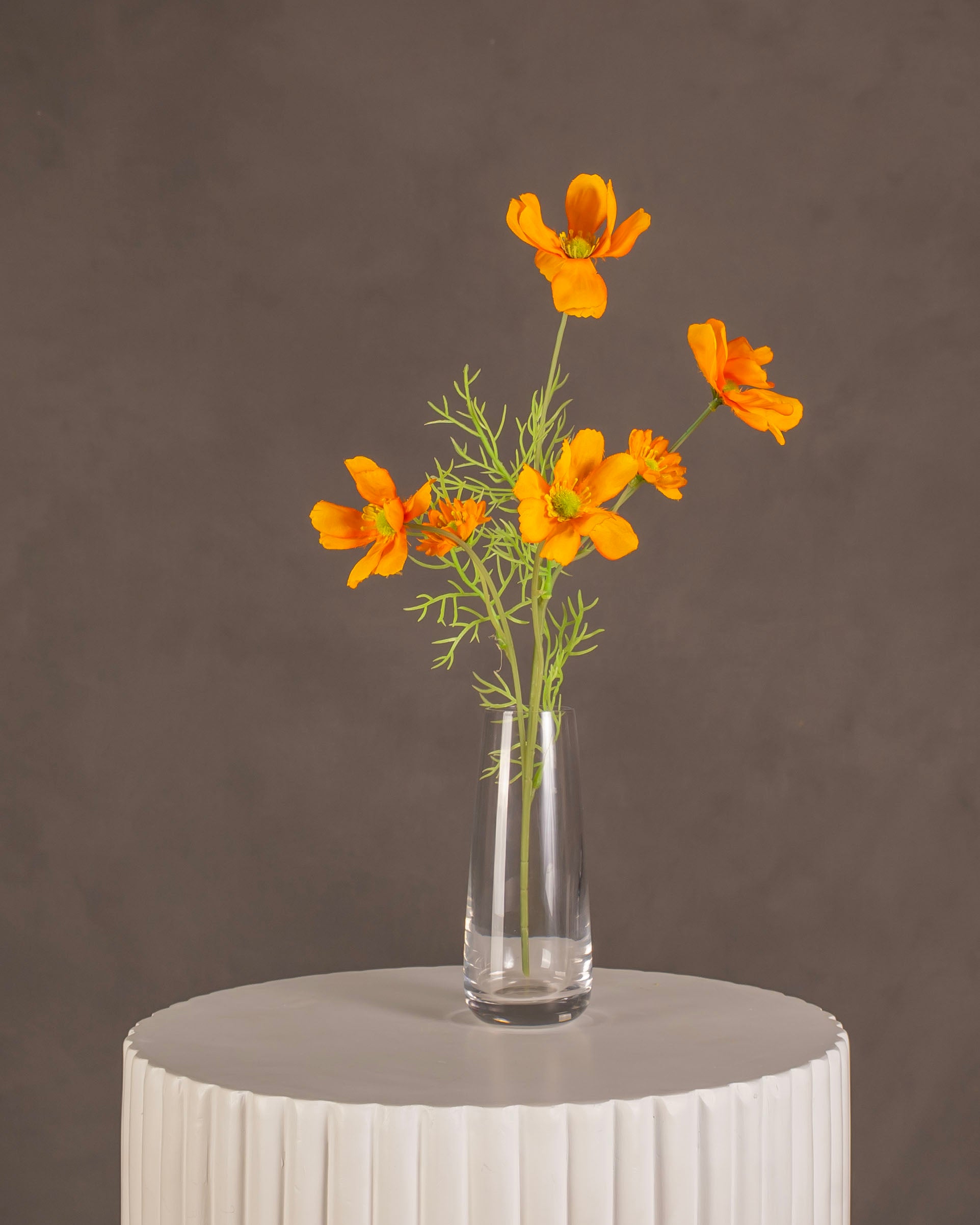 Cosmos 1