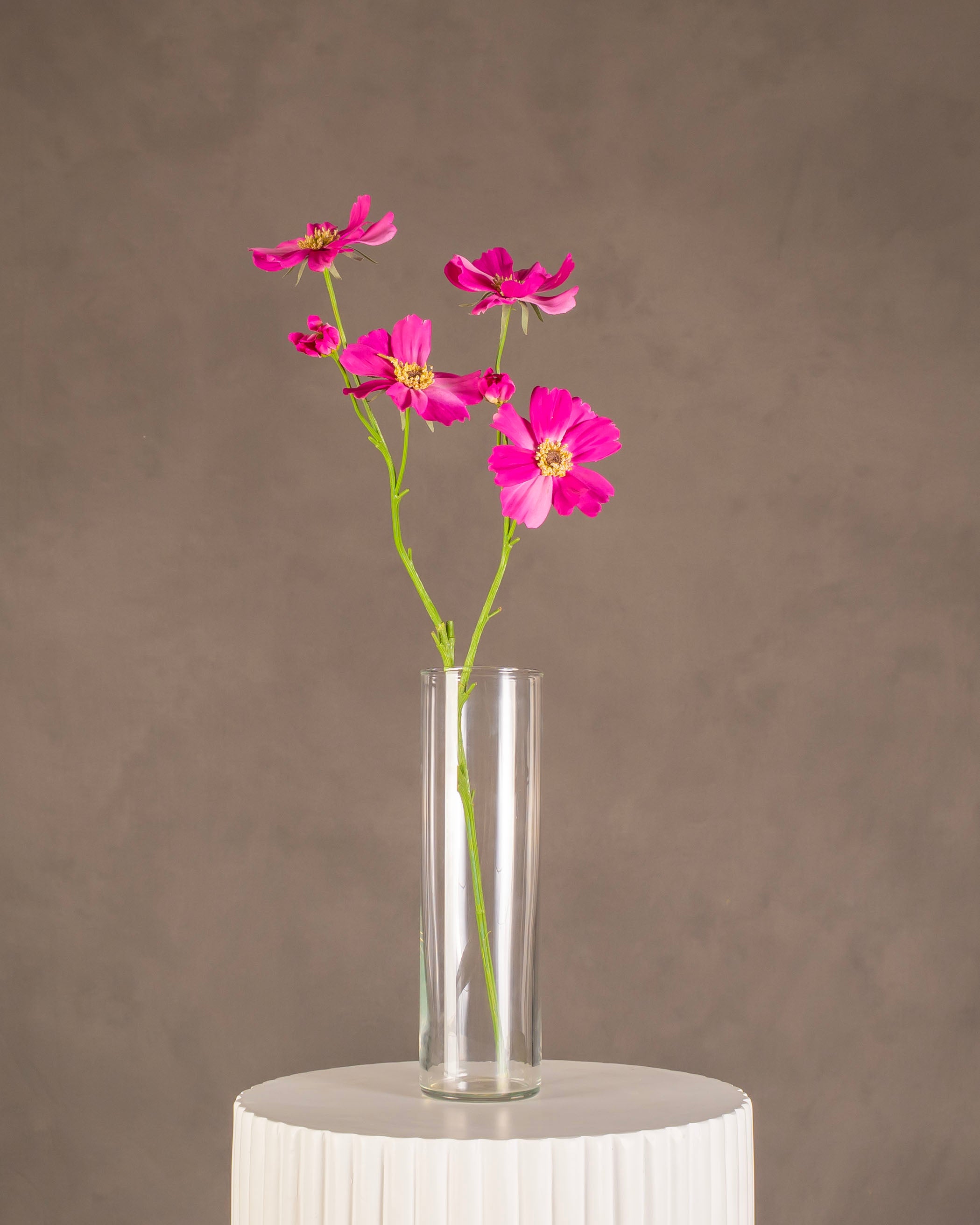 Cosmos 1