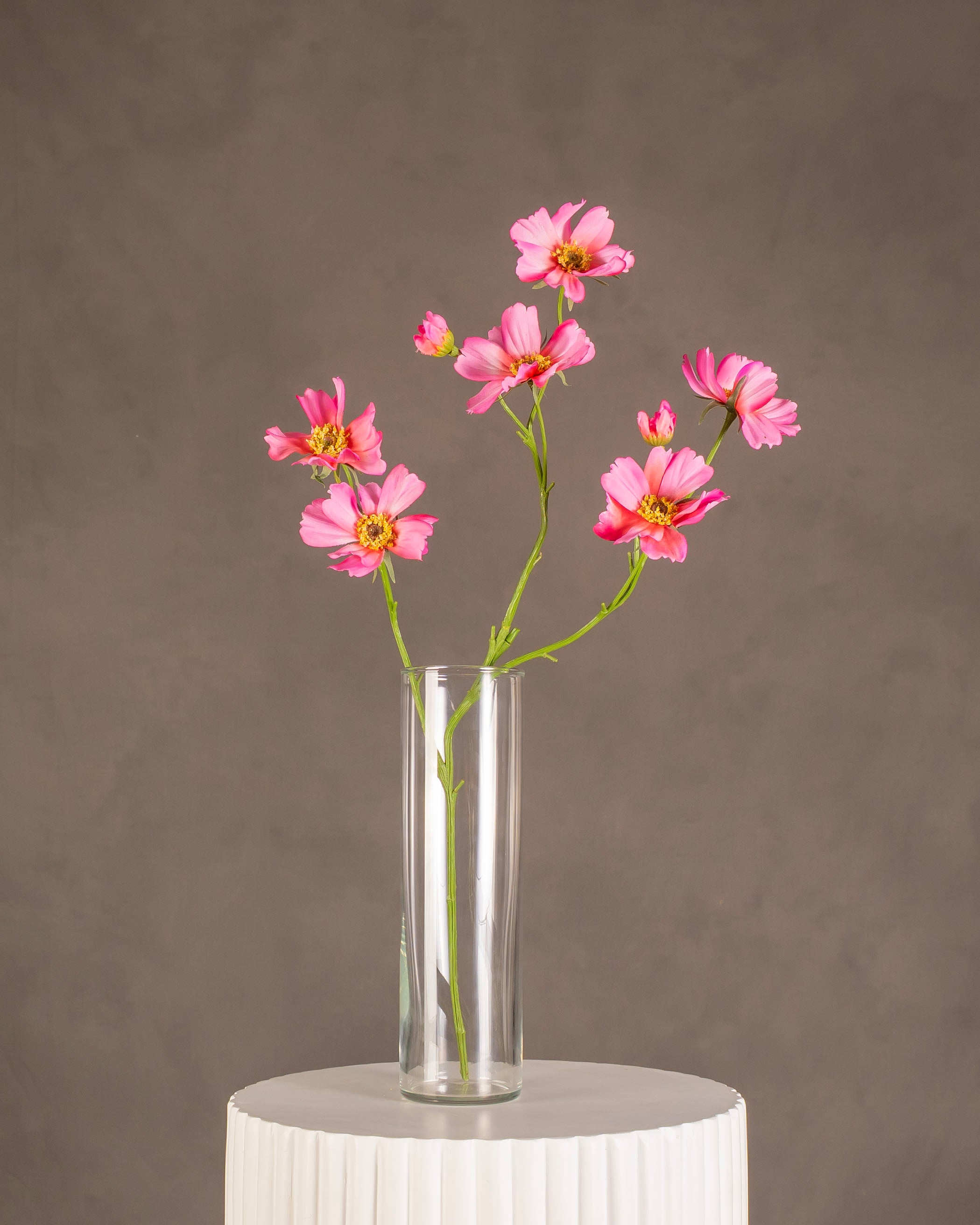 Cosmos 1