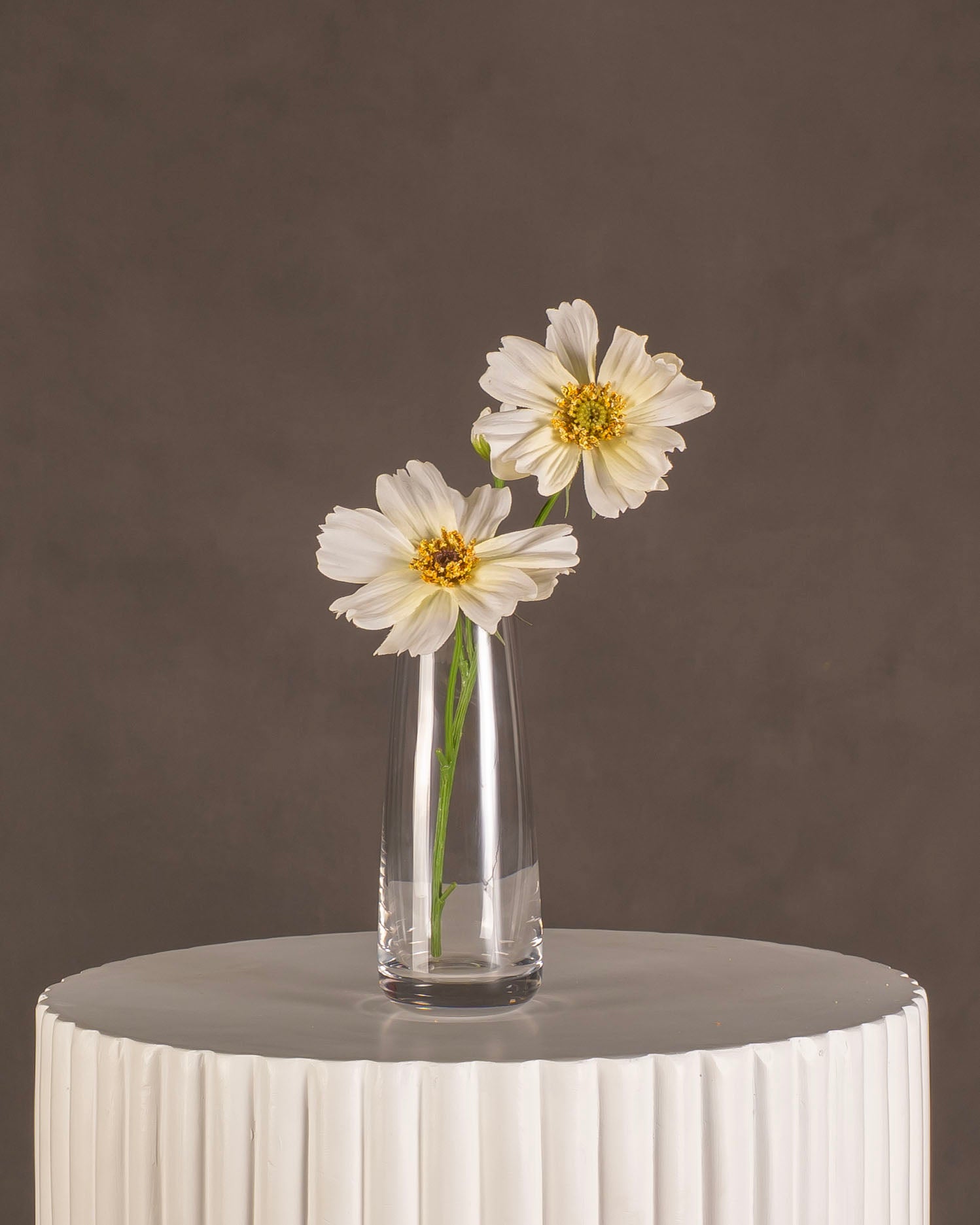 Cosmos 2