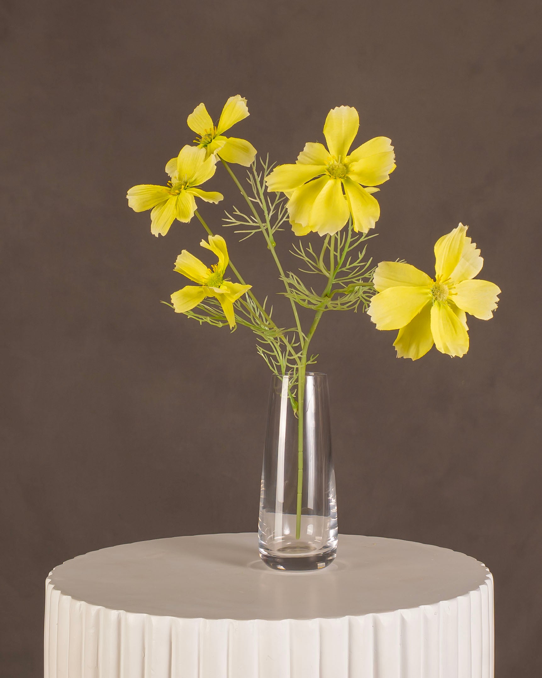 Cosmos 2