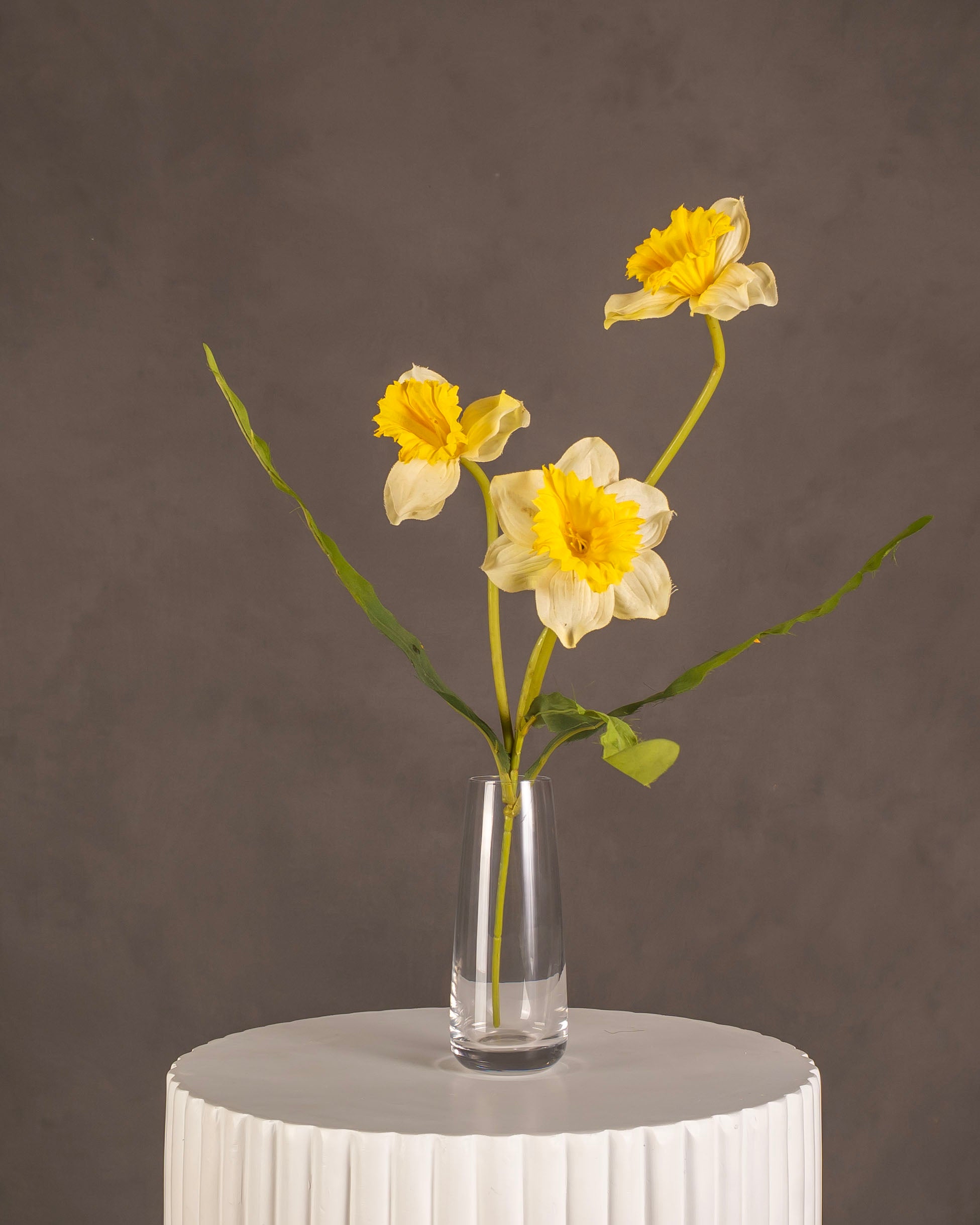 Daffodil