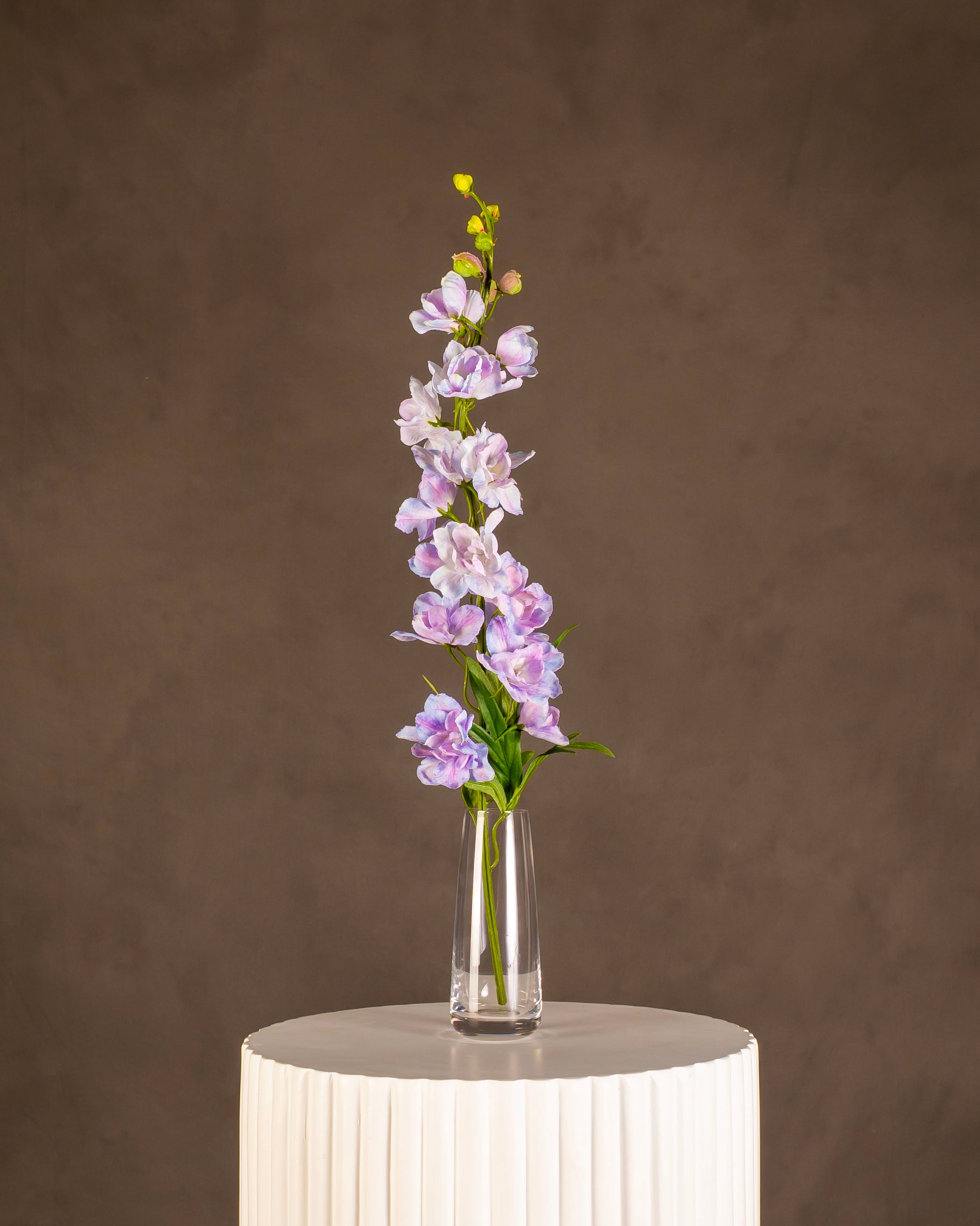 Delphinium
