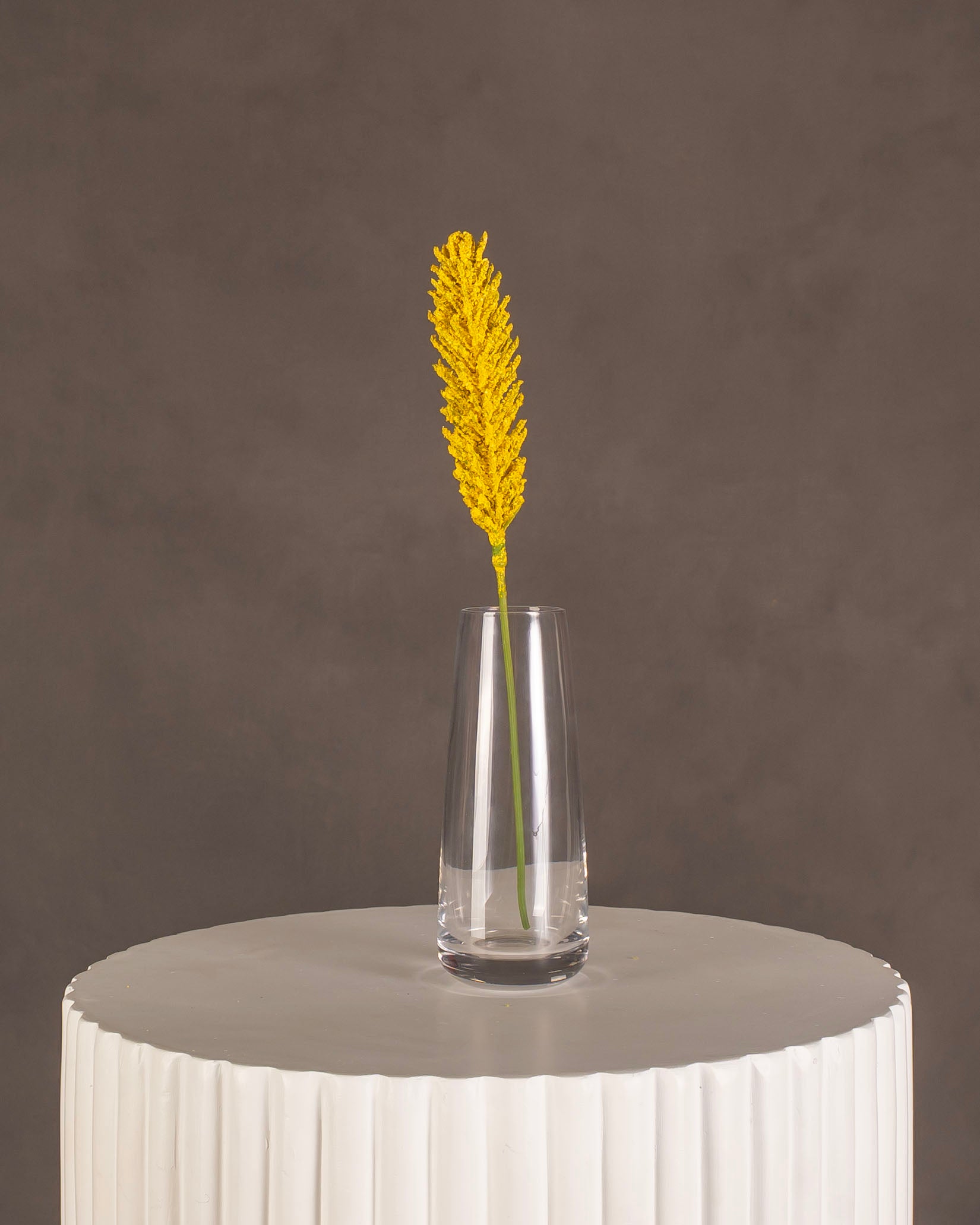 Desert Candle