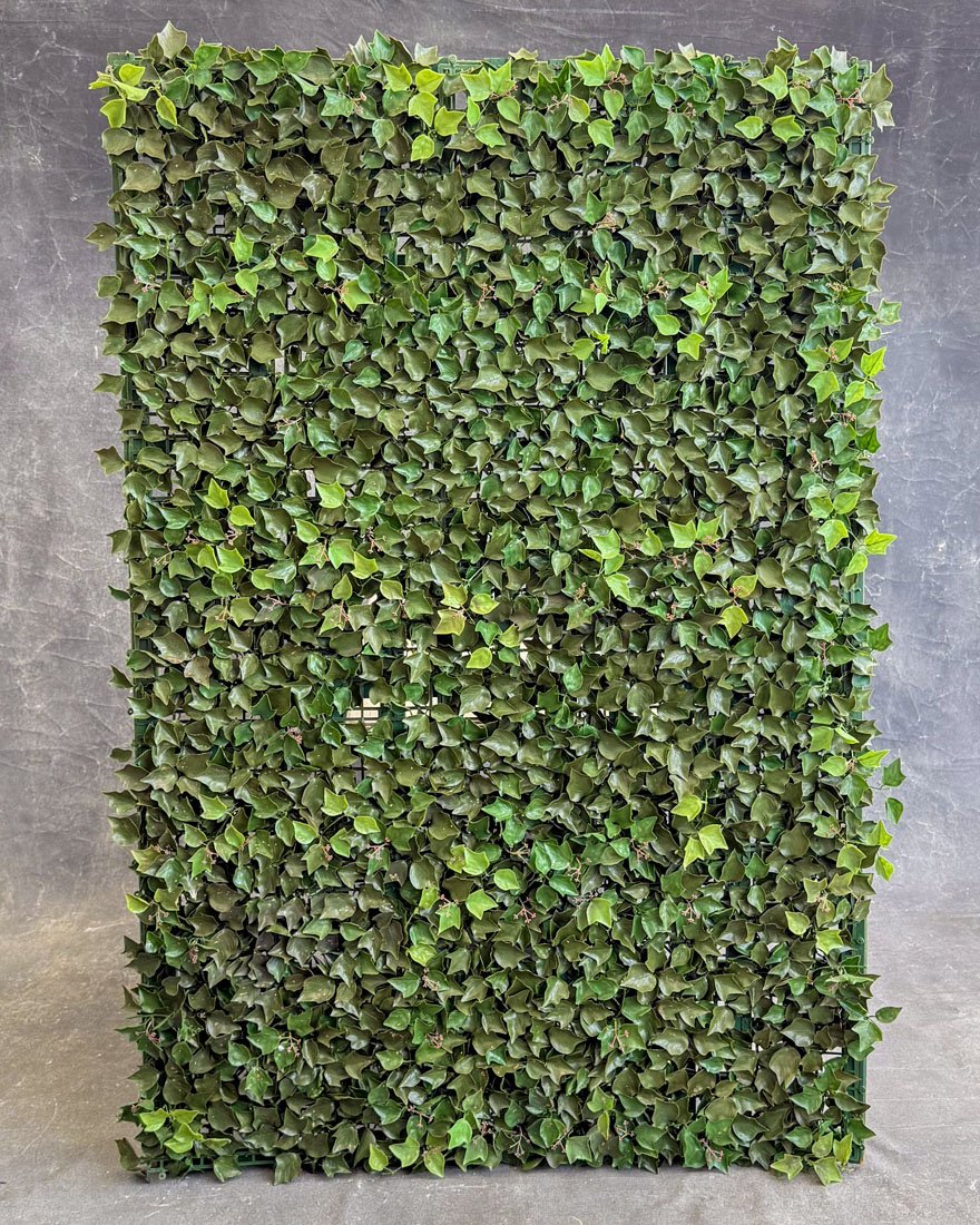 English Ivy (Lattice Panel)