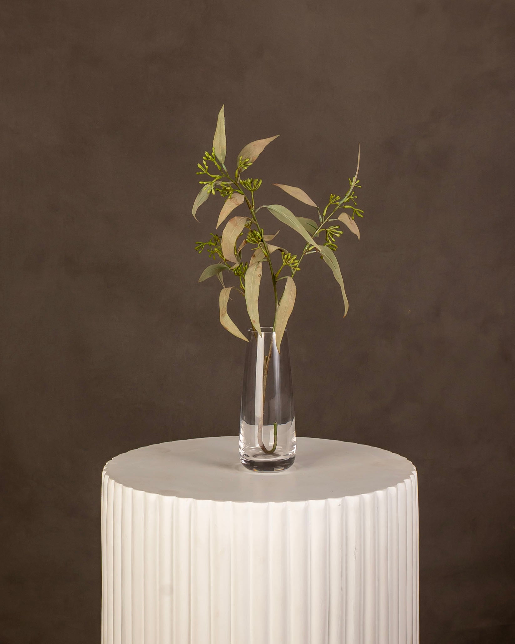 Eucalyptus Spray Leaf