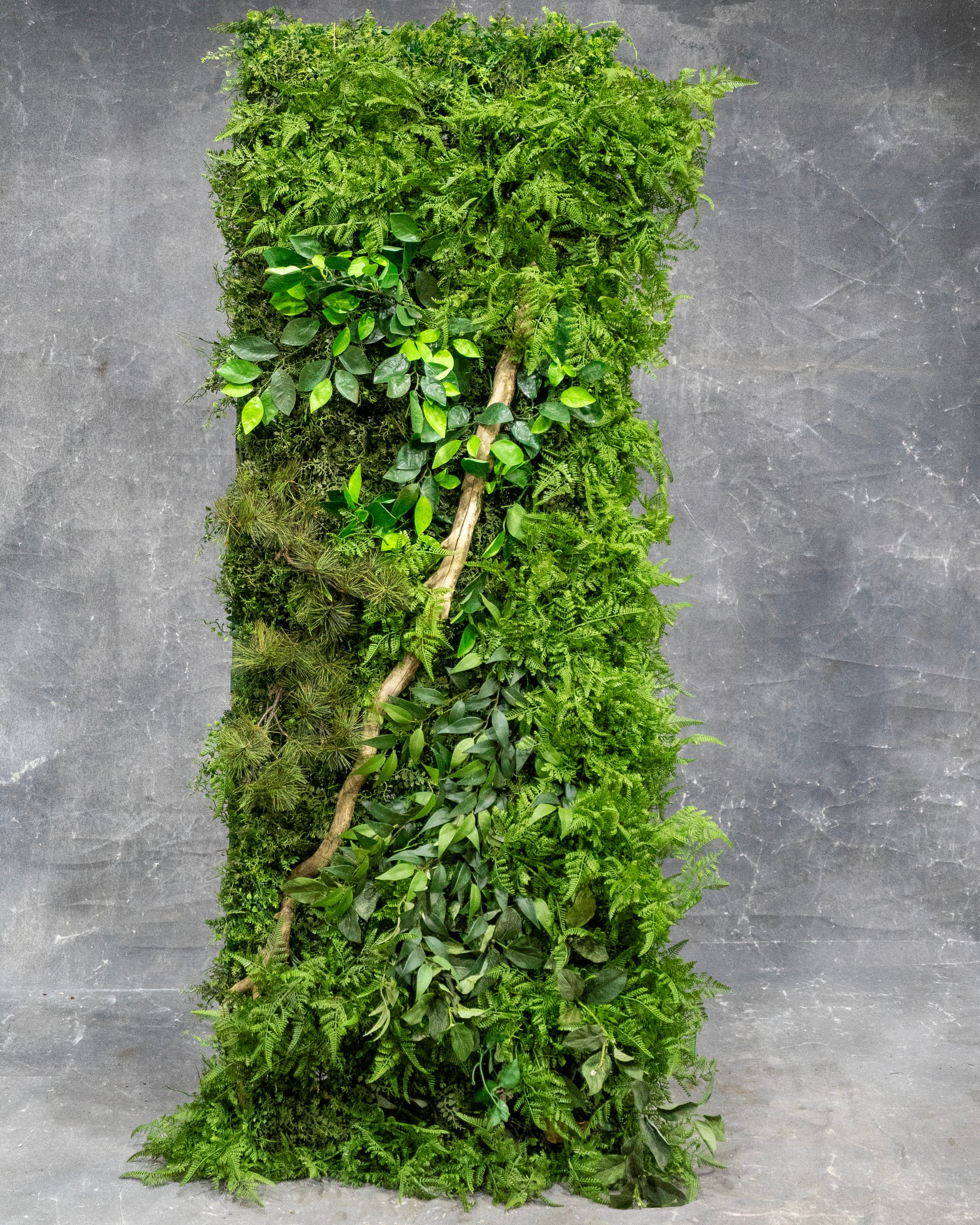 Fern Wall Panel