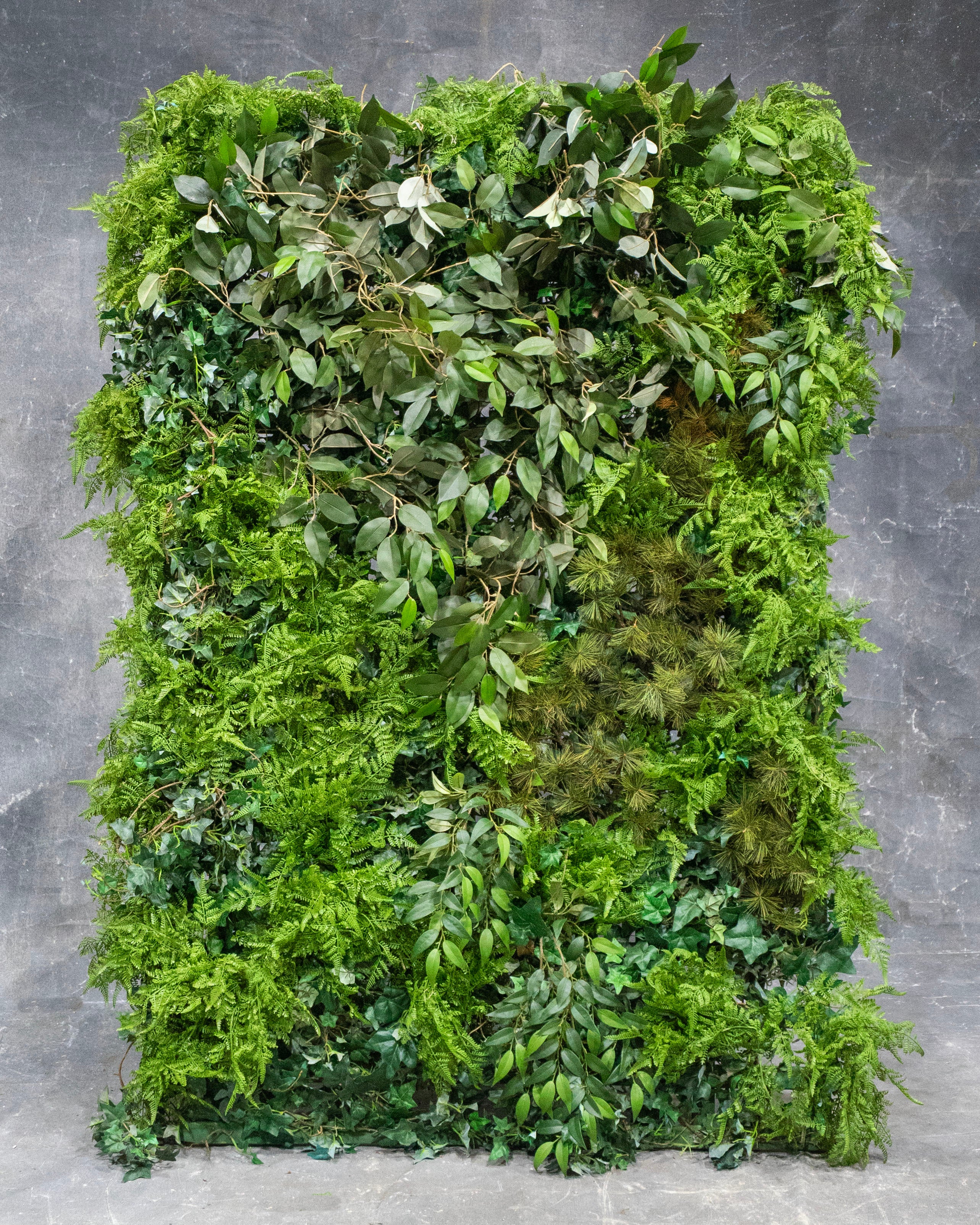 Fern and Eucalyptus Wall Panel