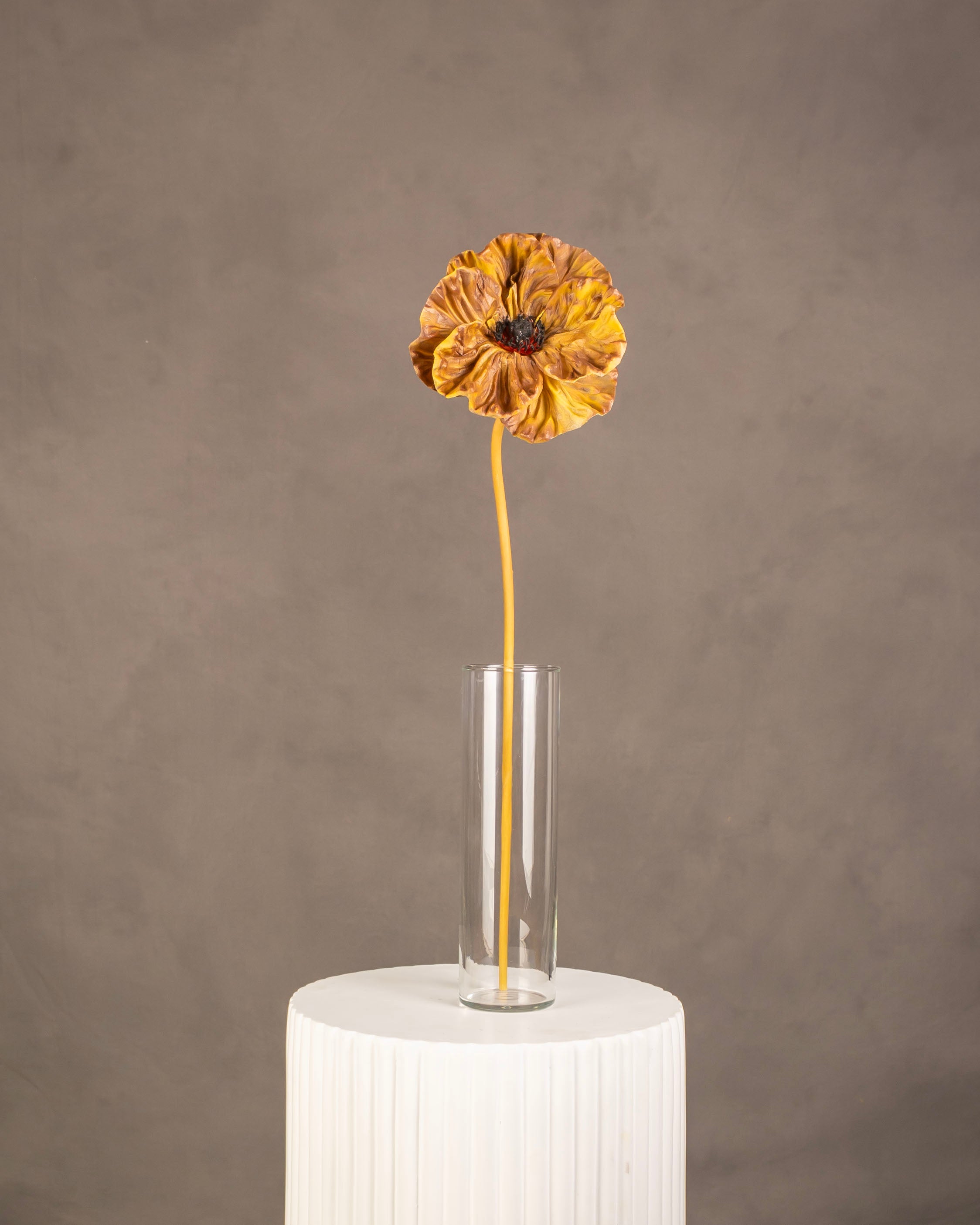 Gothic Poppy