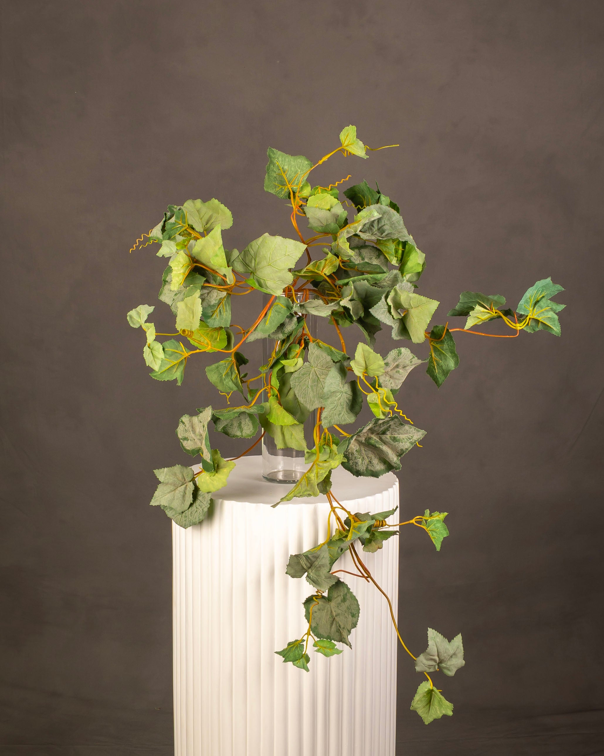 Grape Vine