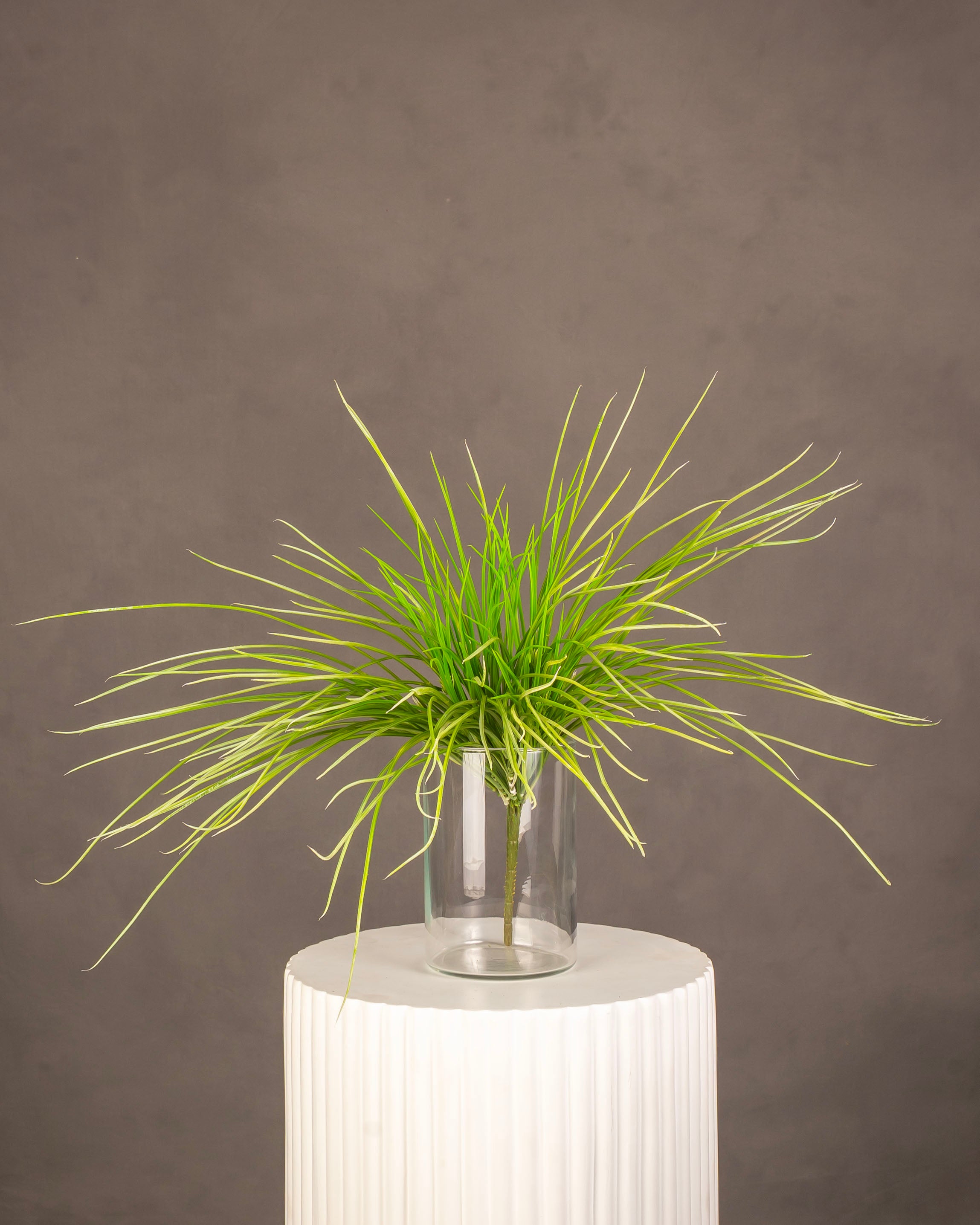 Grass Bush