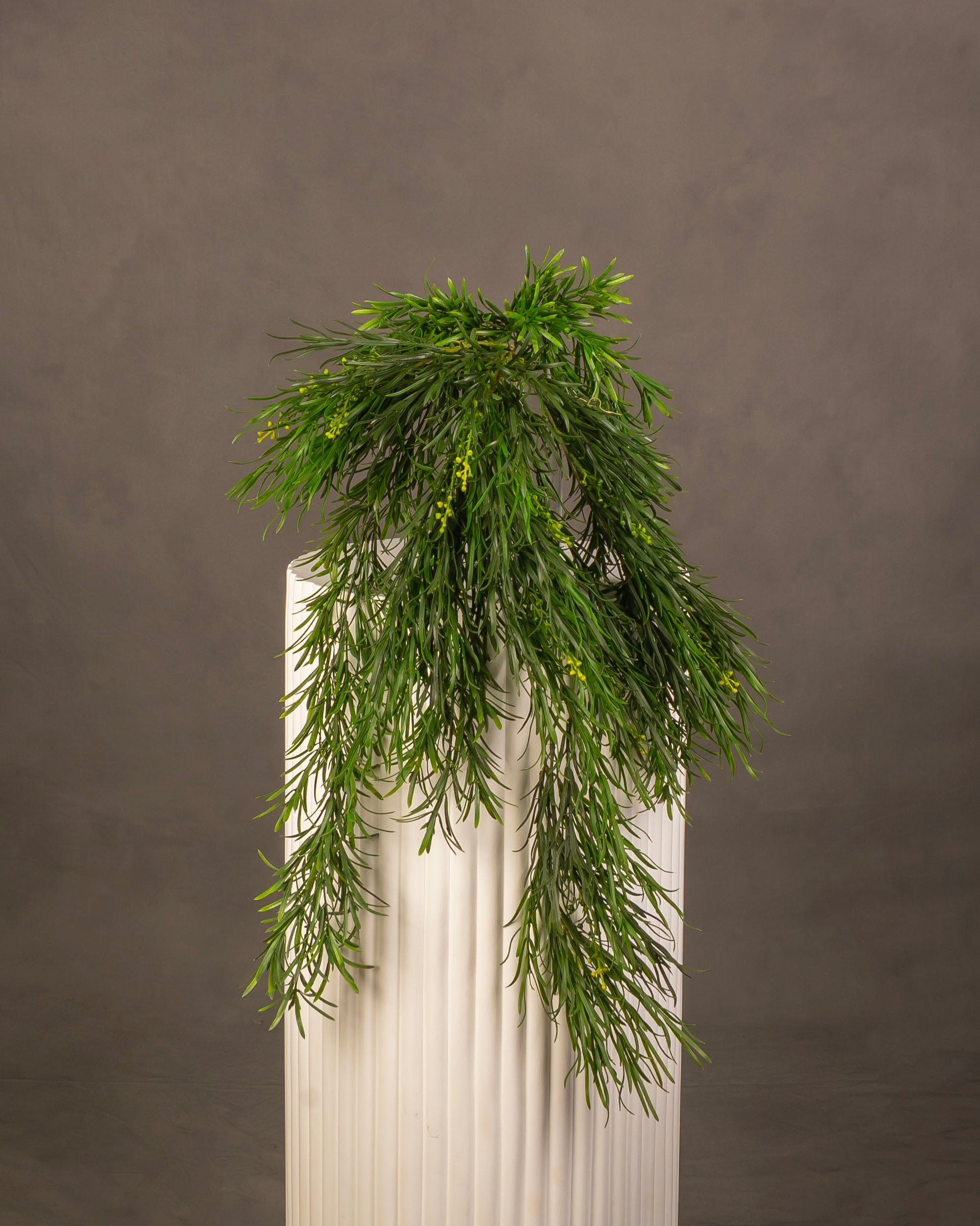 Hanging Seaweed Grass Green