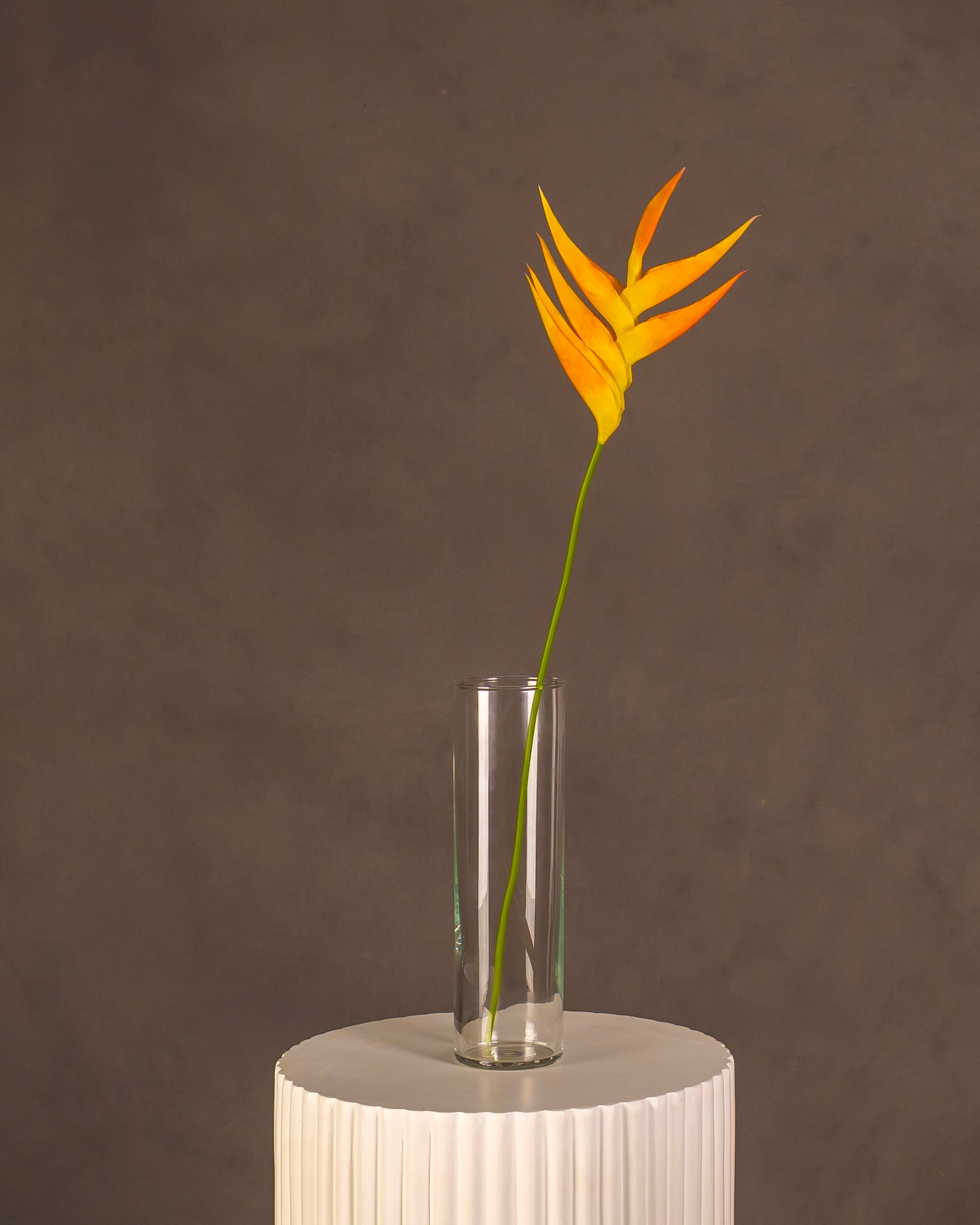Heliconia