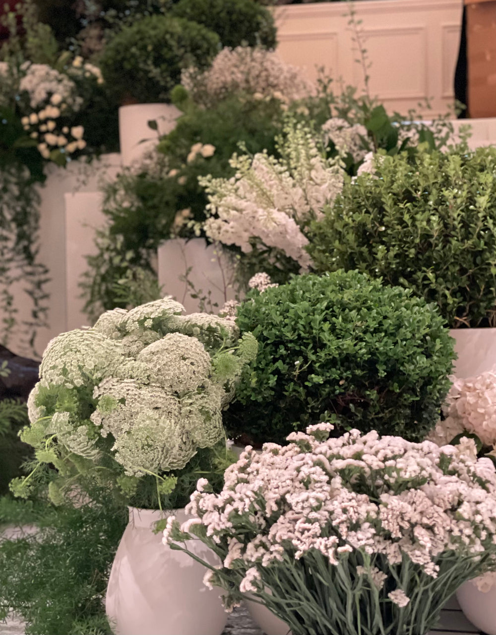 Frank's Plantorium