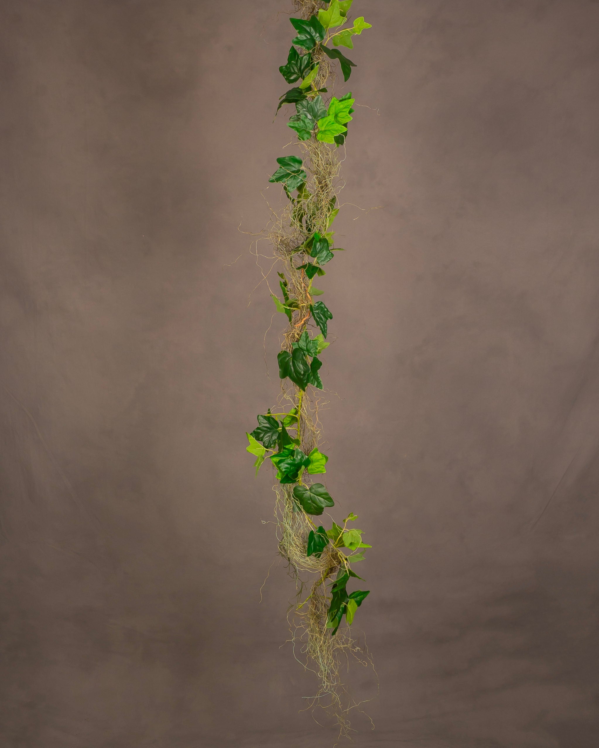 Ivy Garland