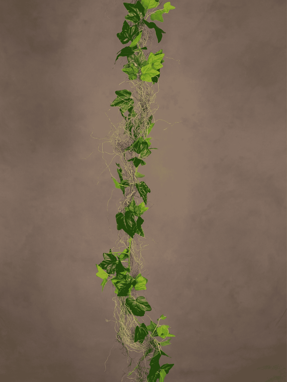 English Ivy Garland with Lichen
