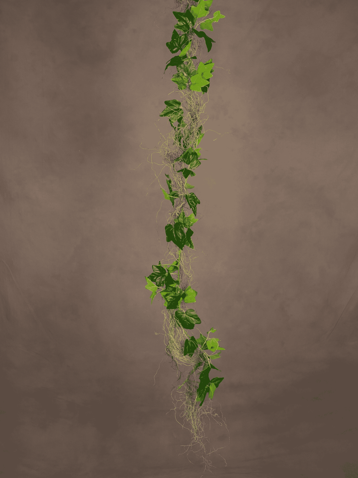 English Ivy Garland with Lichen