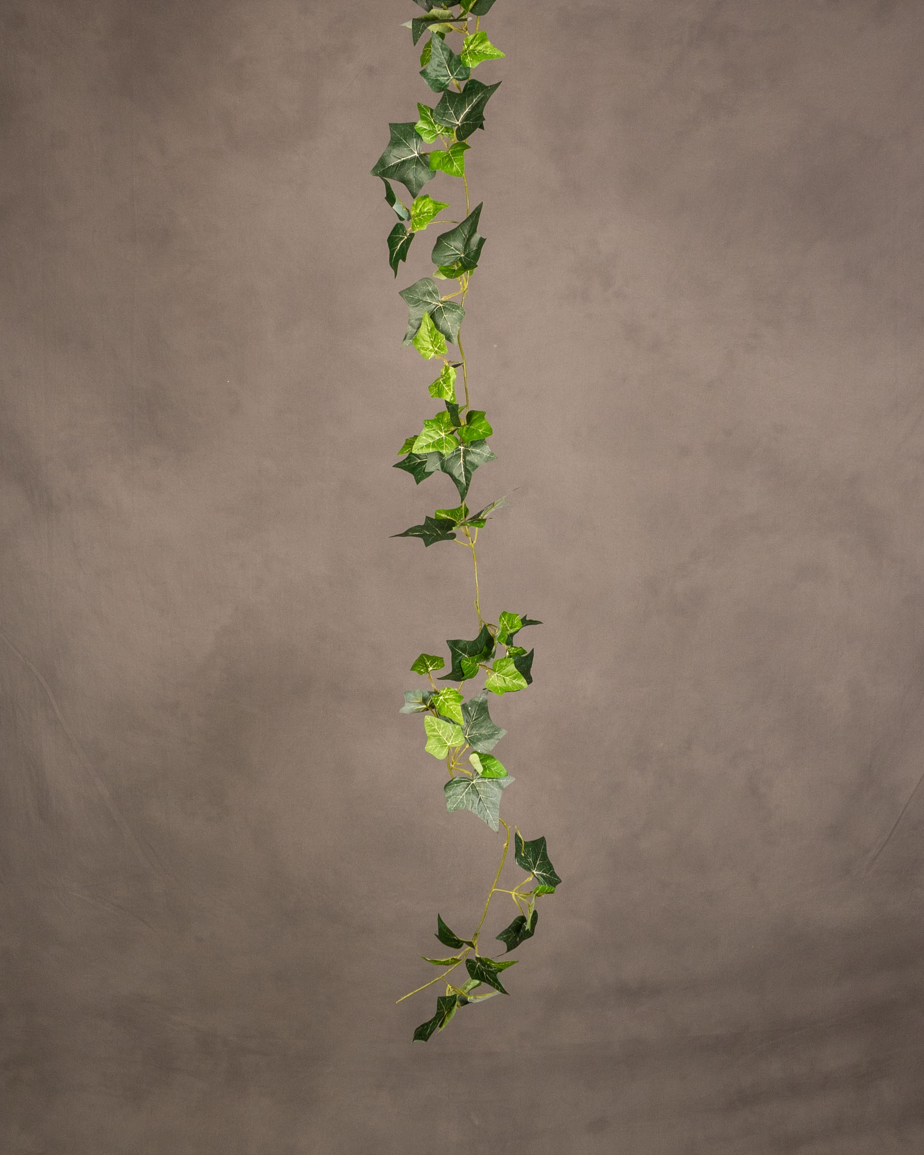 Ivy Garland