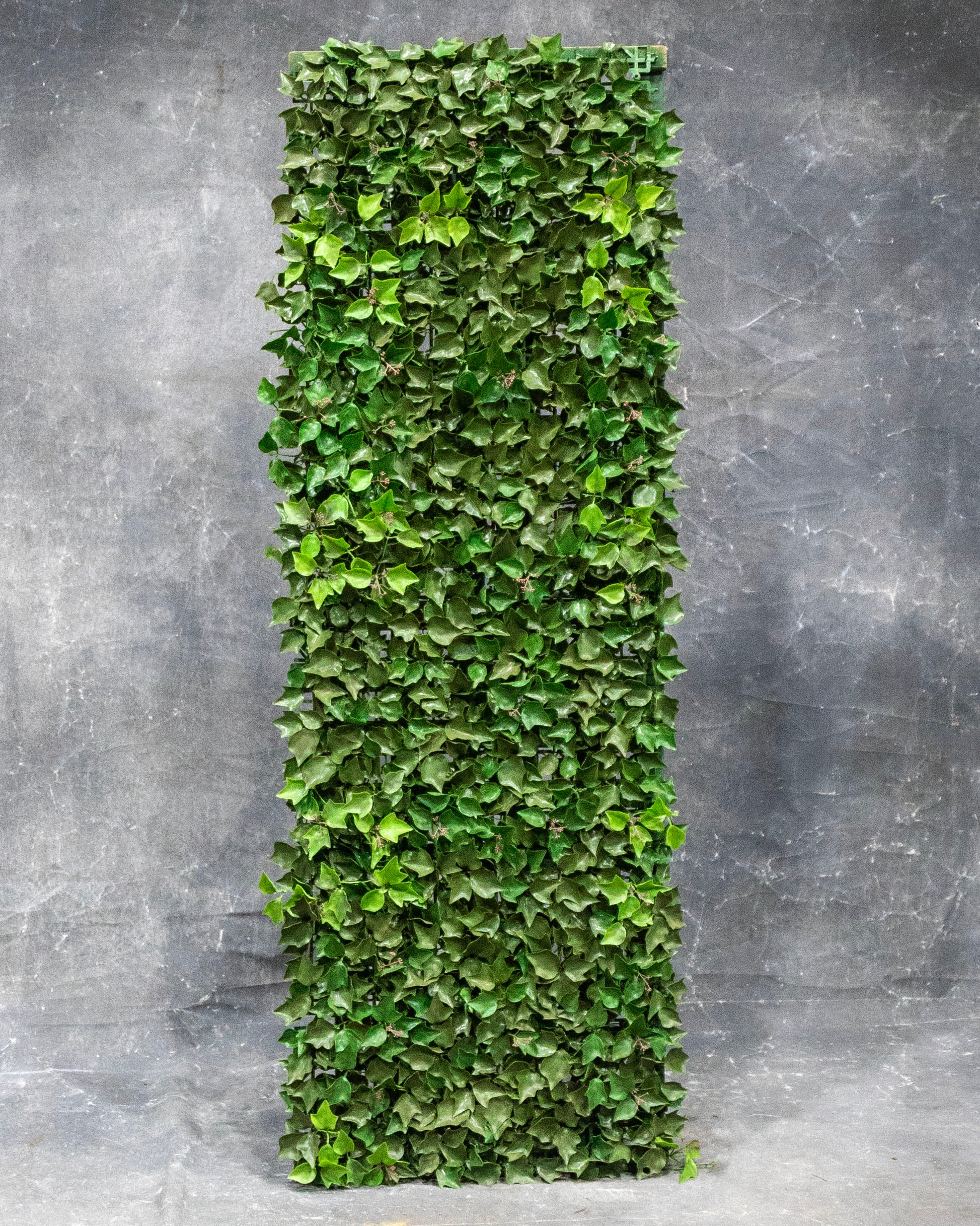 Ivy Panel