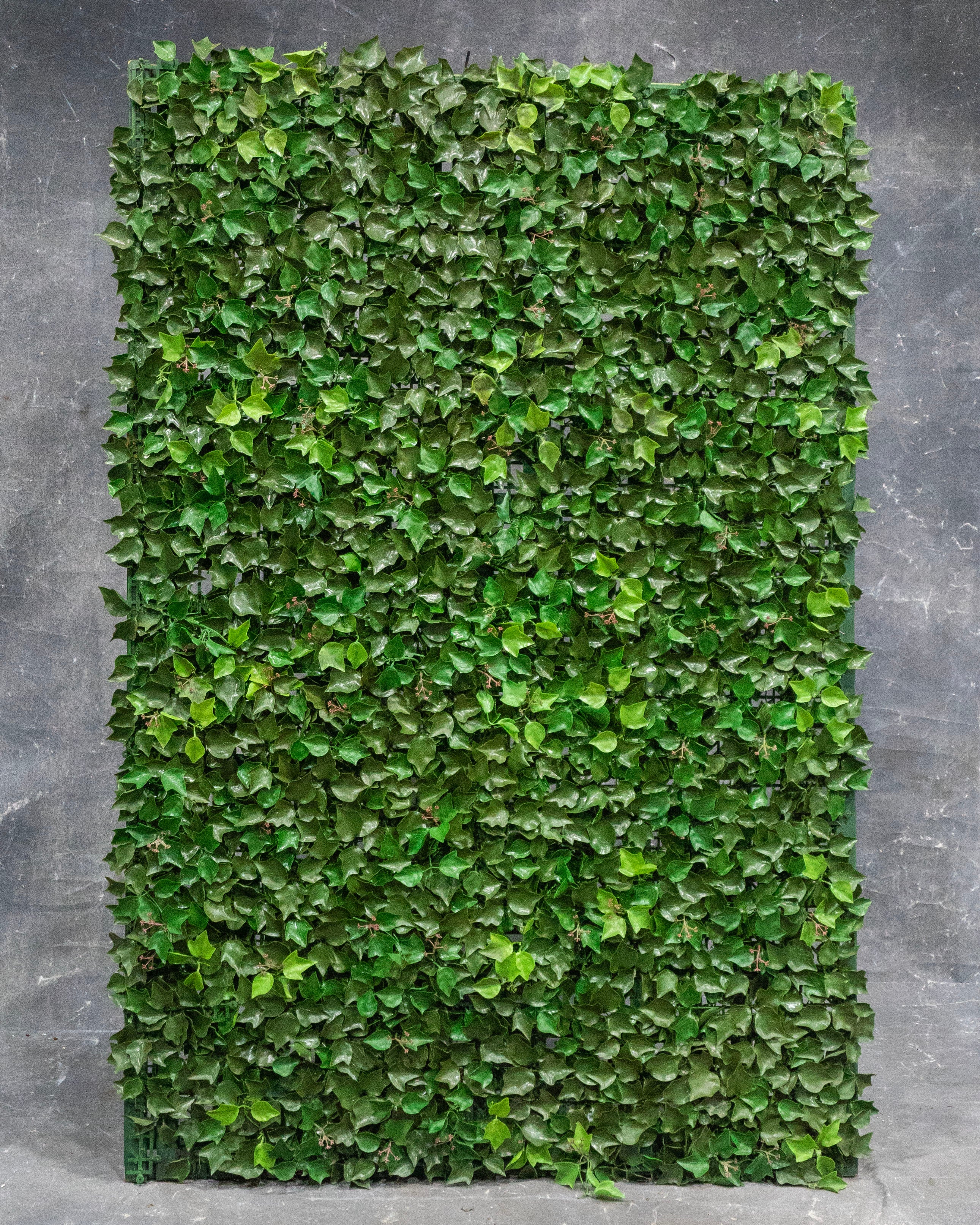 Ivy Panel