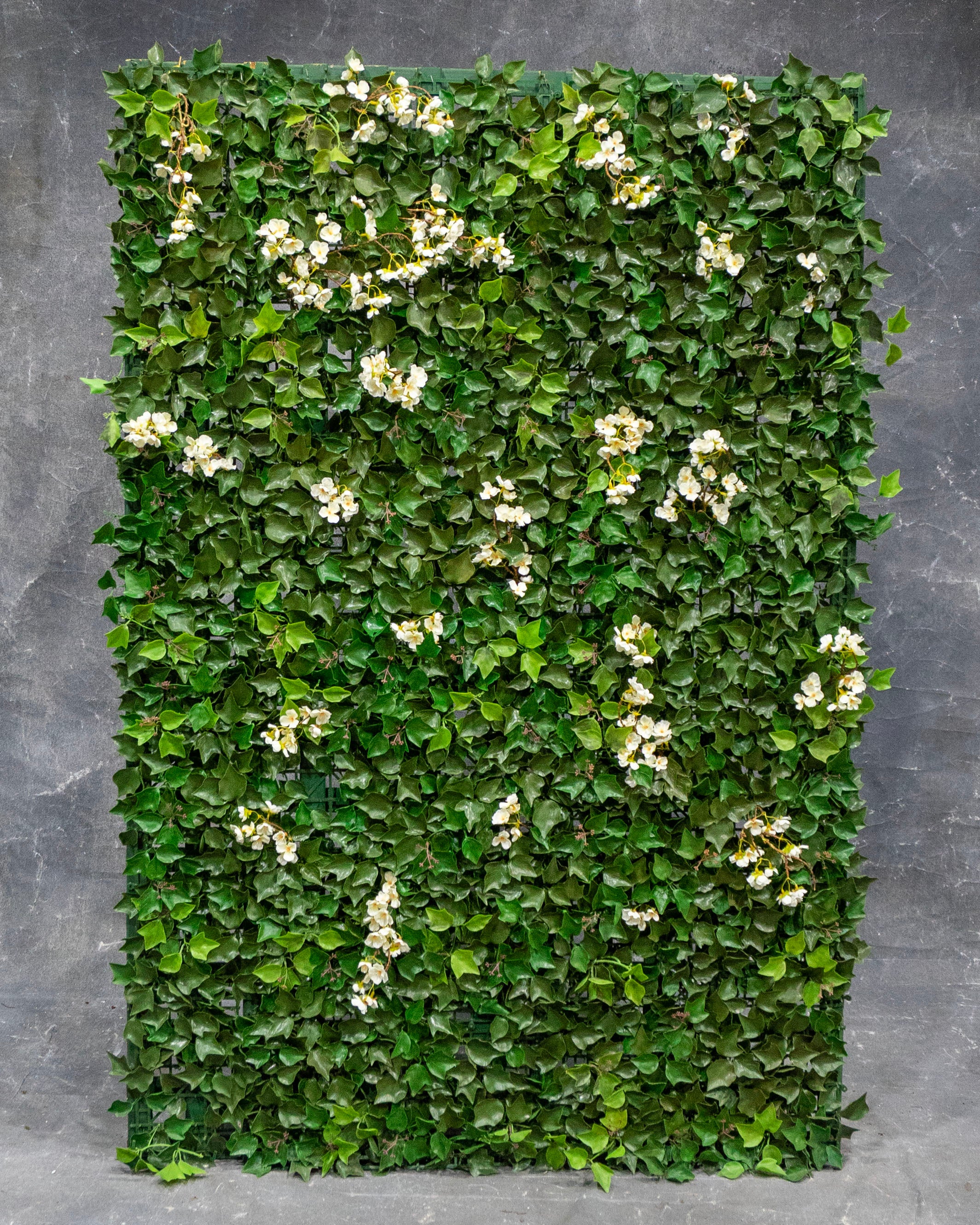 Ivy Panel with White Flowers