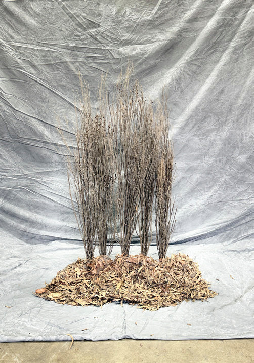 Leaf Mat