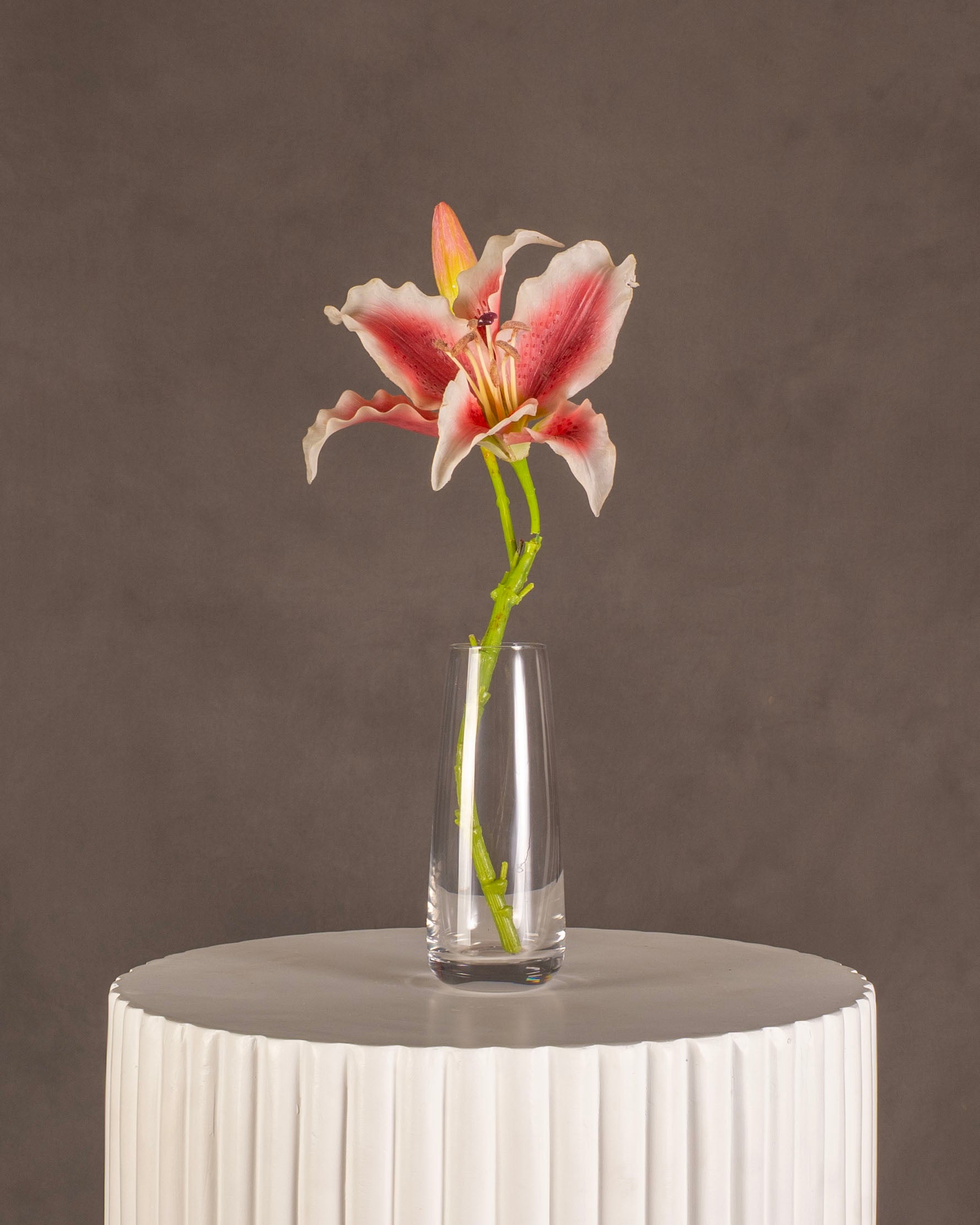 Oriental Lily