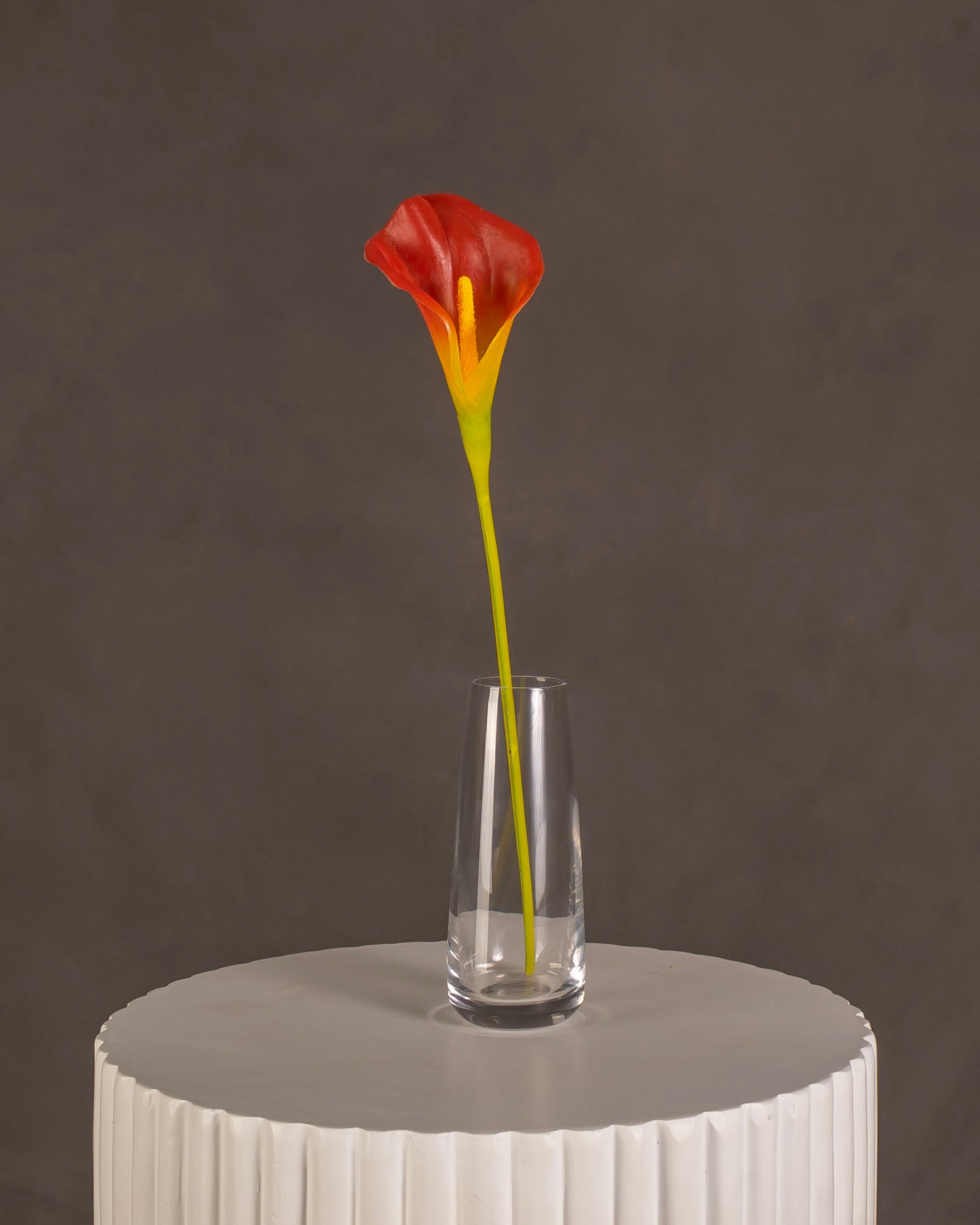 Calla Lily