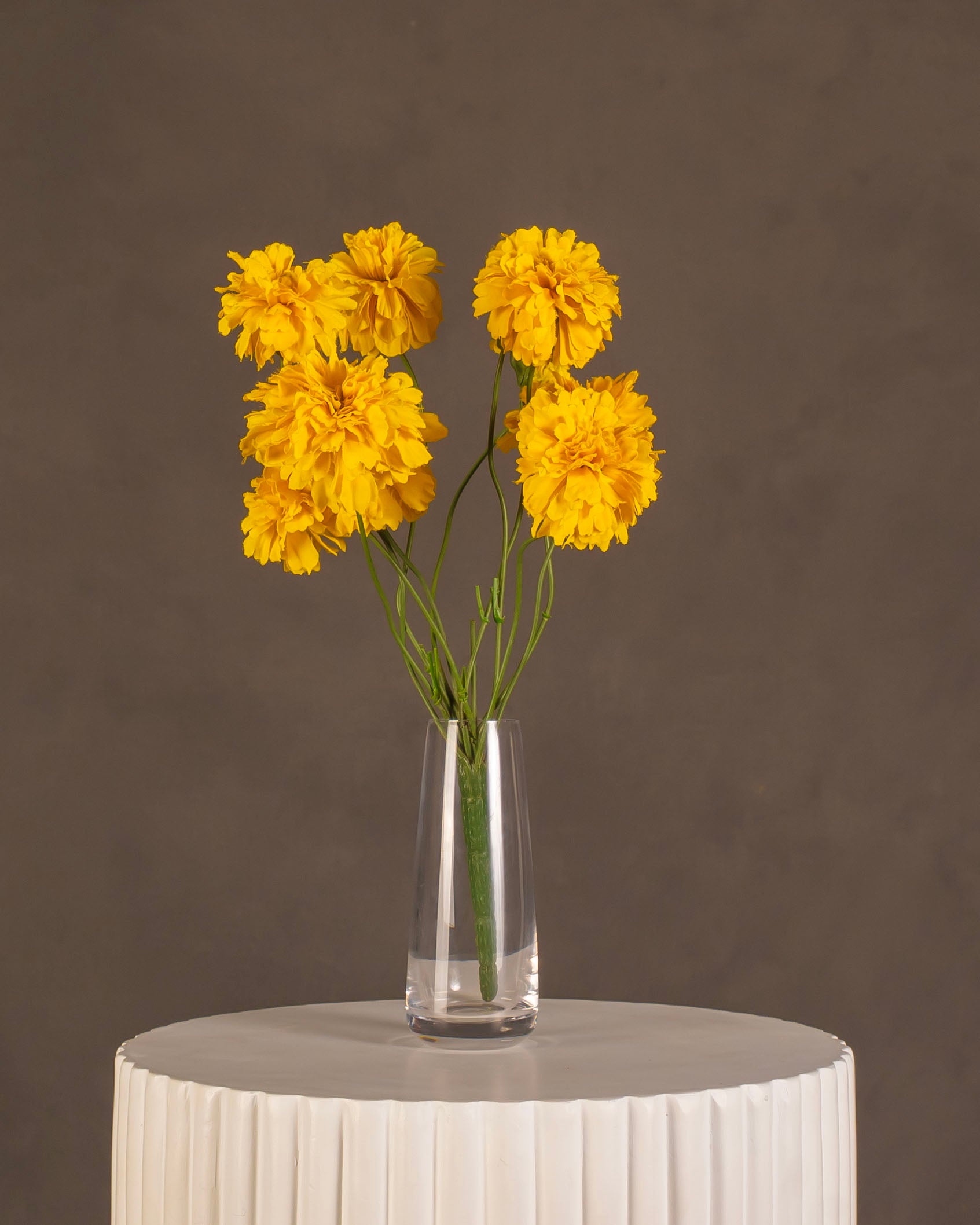 Marigold