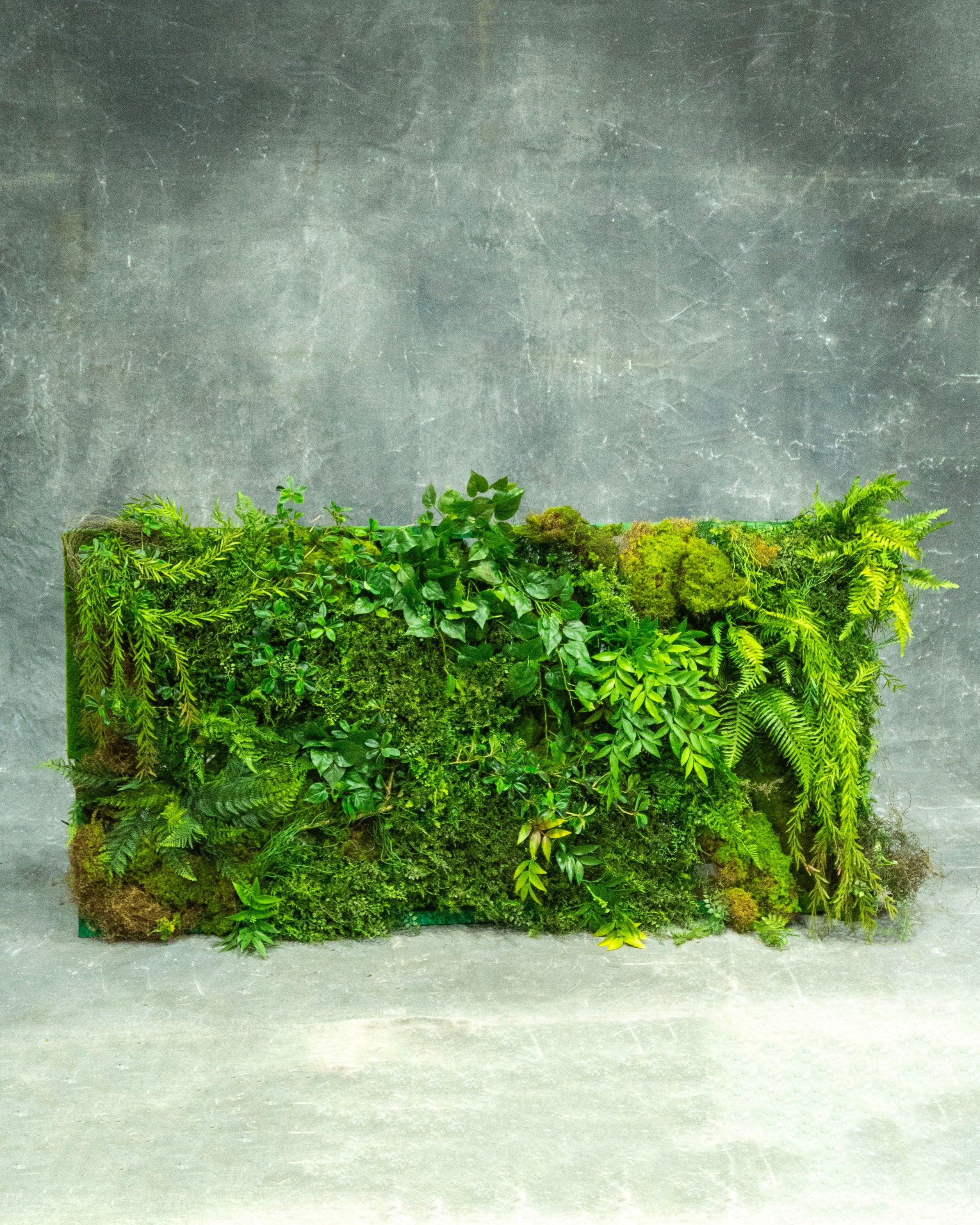 Mixed Foliage Panel