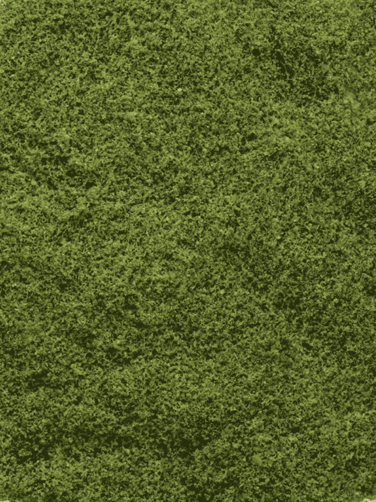 Moss Sheet