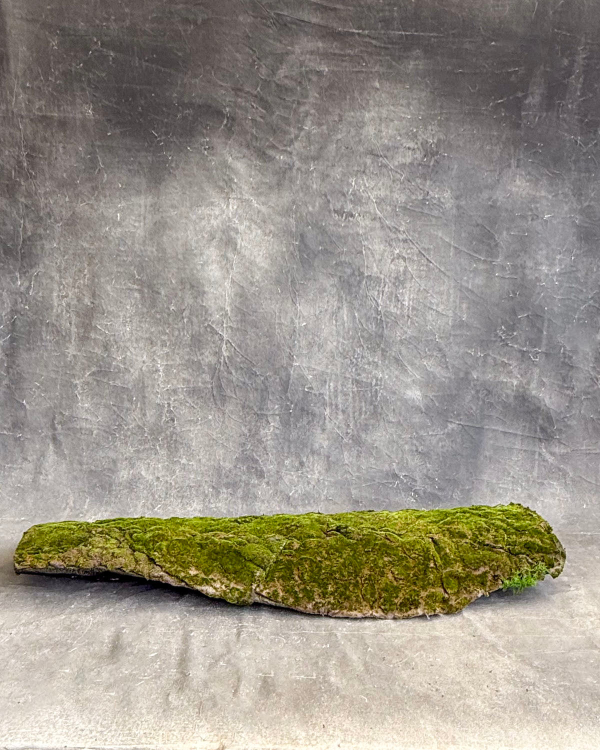 Mossy Mound