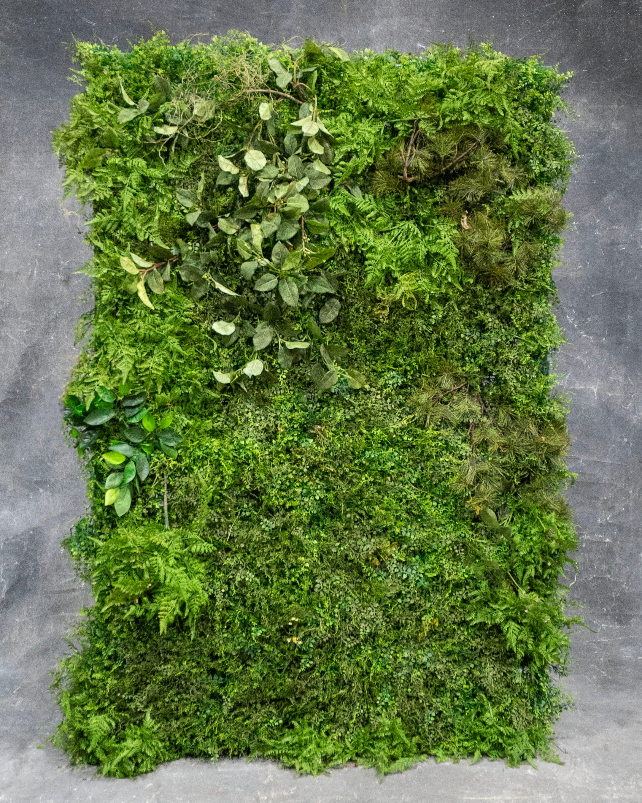Overgrown Mixed Panel