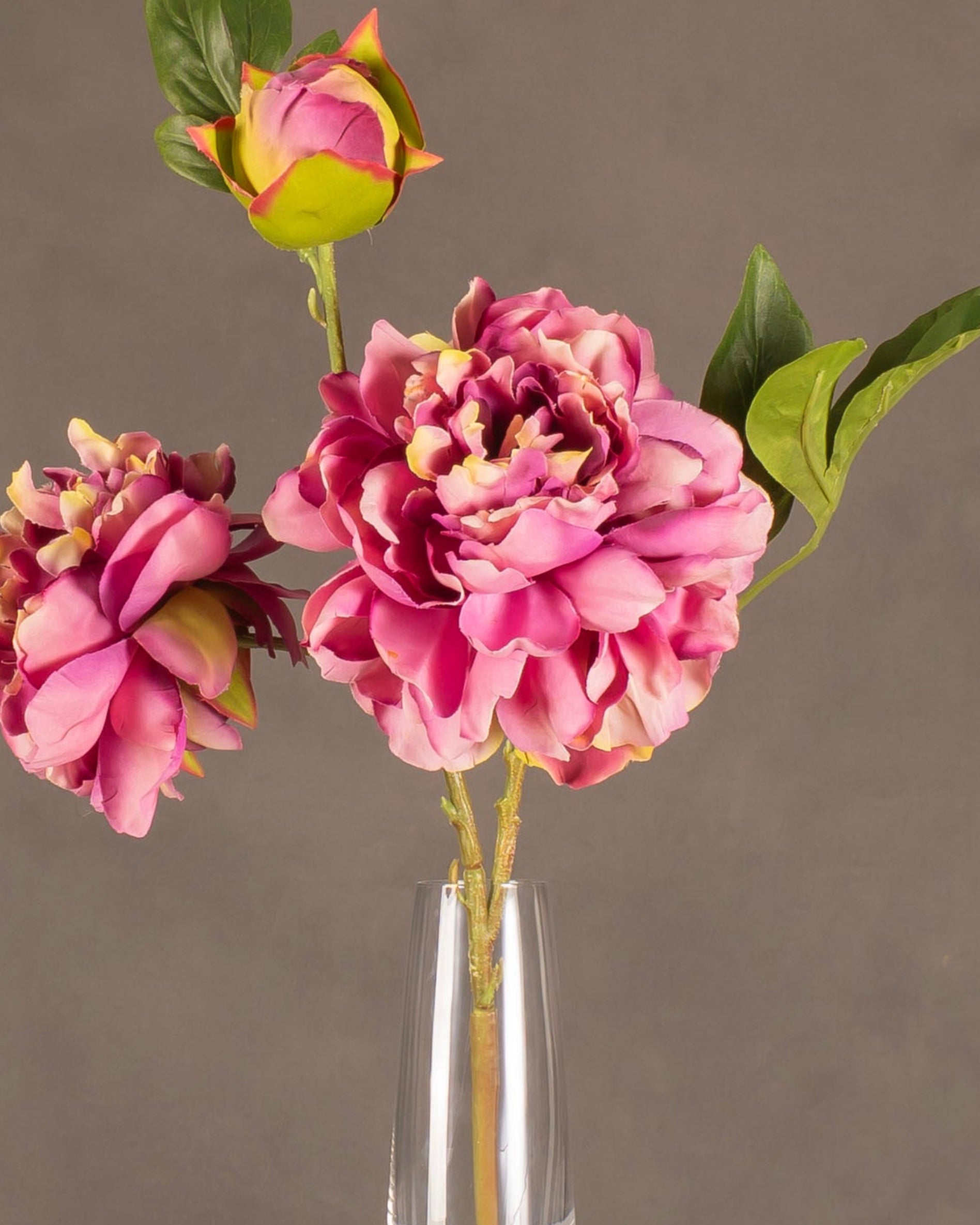 Peony