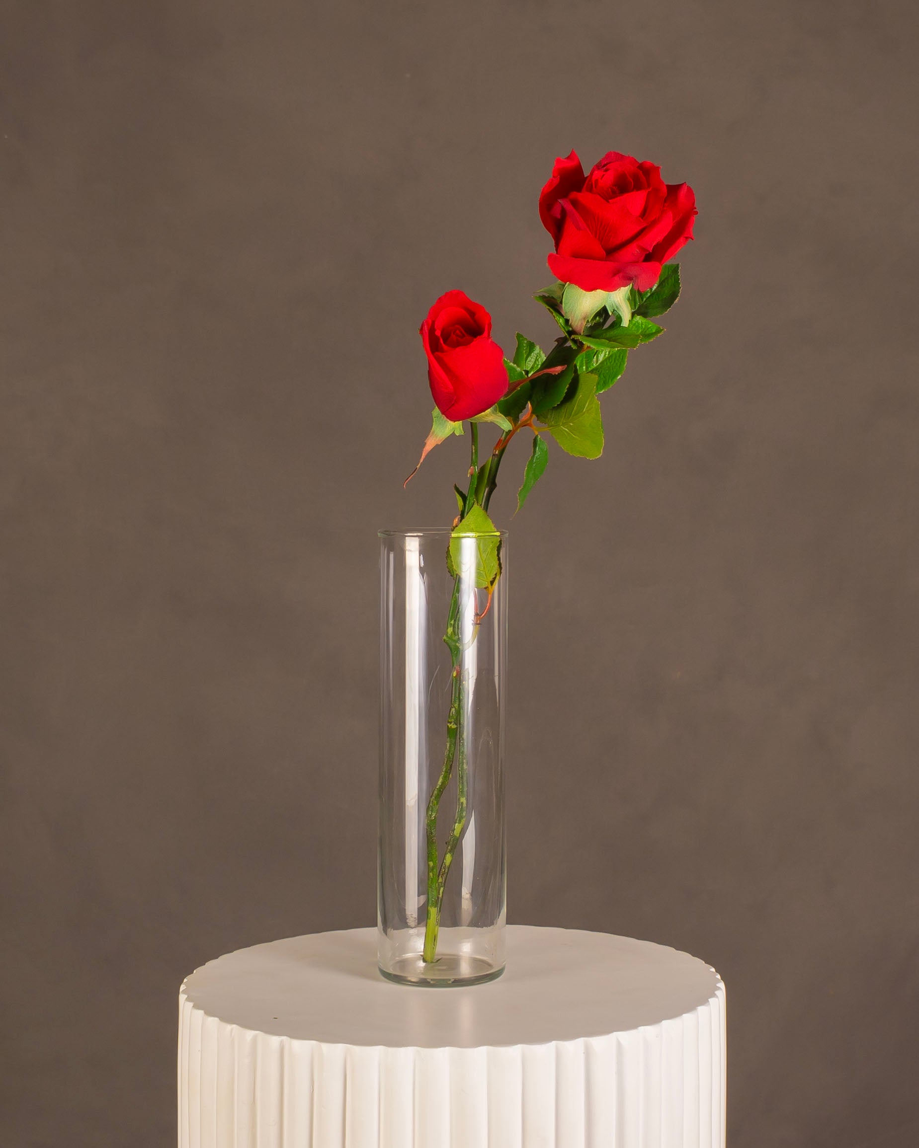 Rose Stem