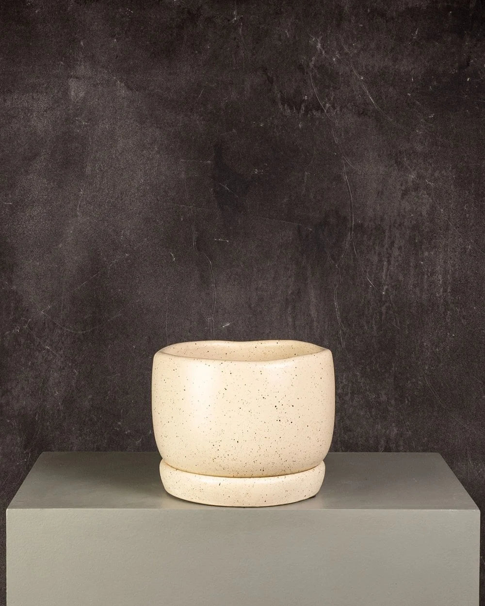 Ceramic Pot Organic Form