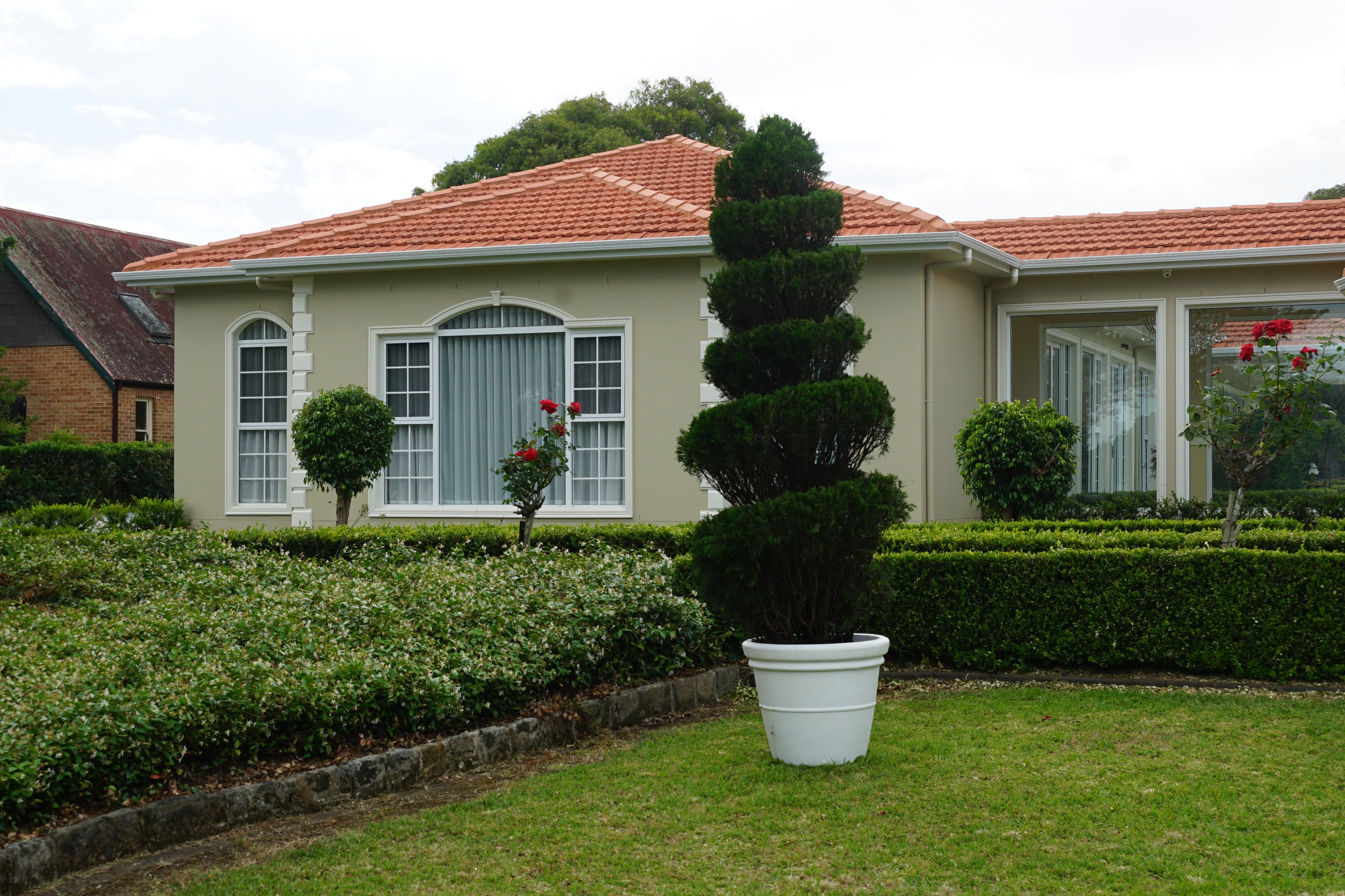 Spiral Topiary Tree