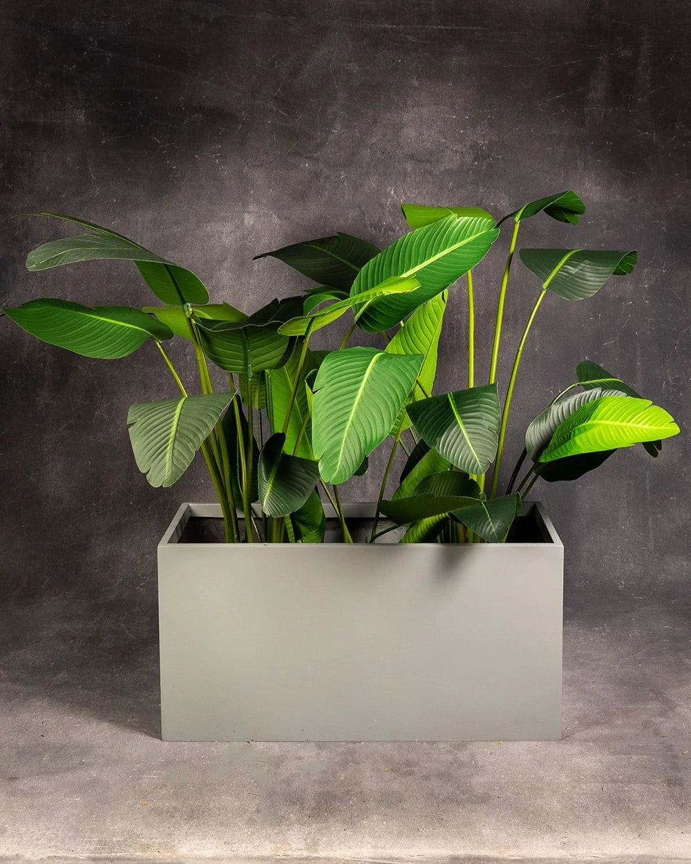 Planter Box