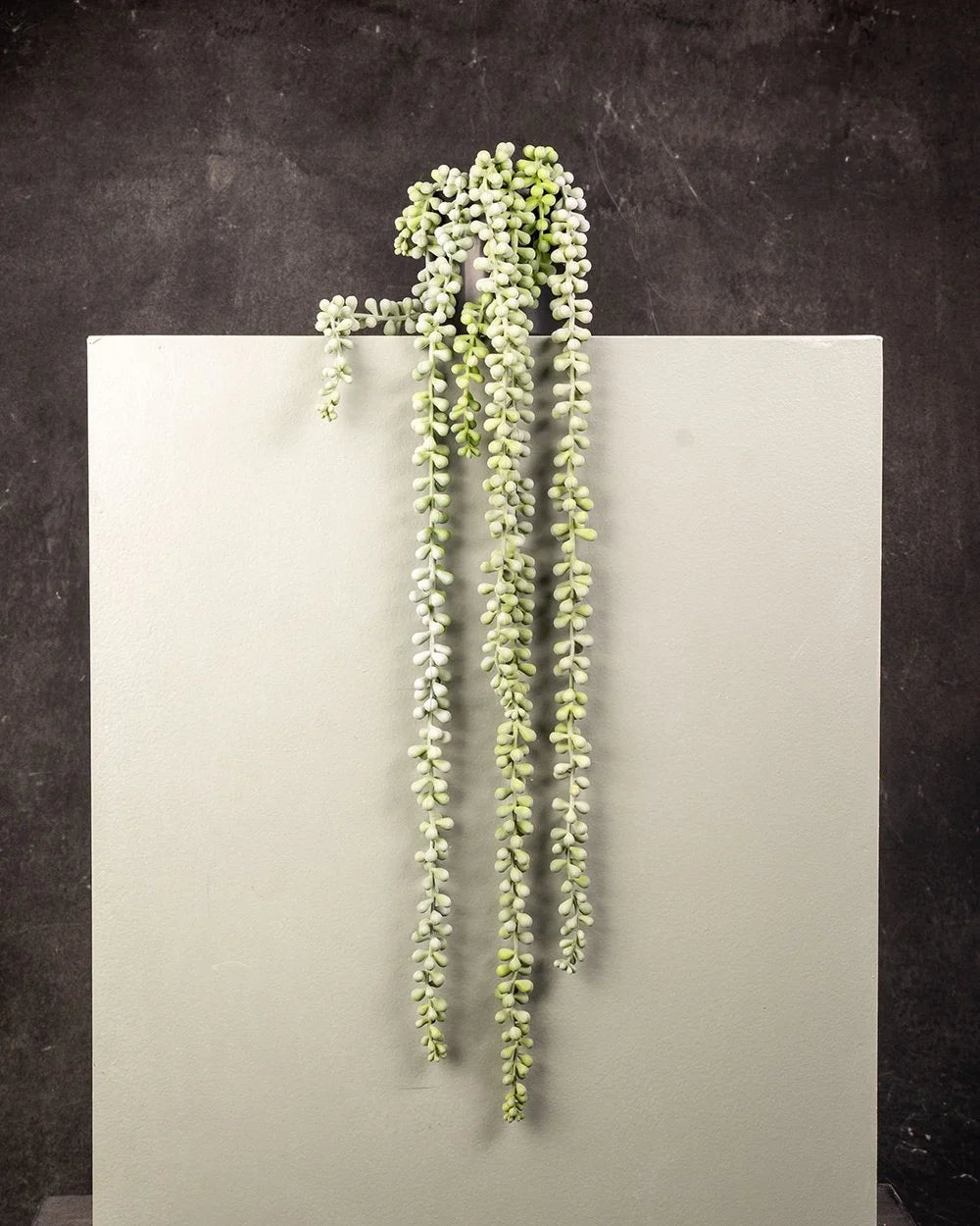 String of Pearls