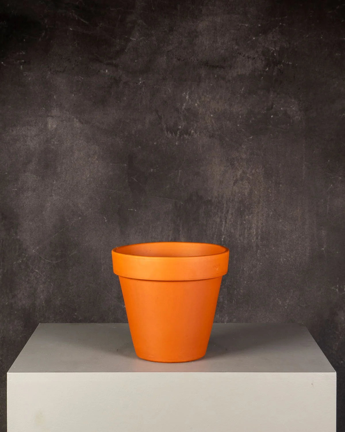 Terracotta Pot Standard