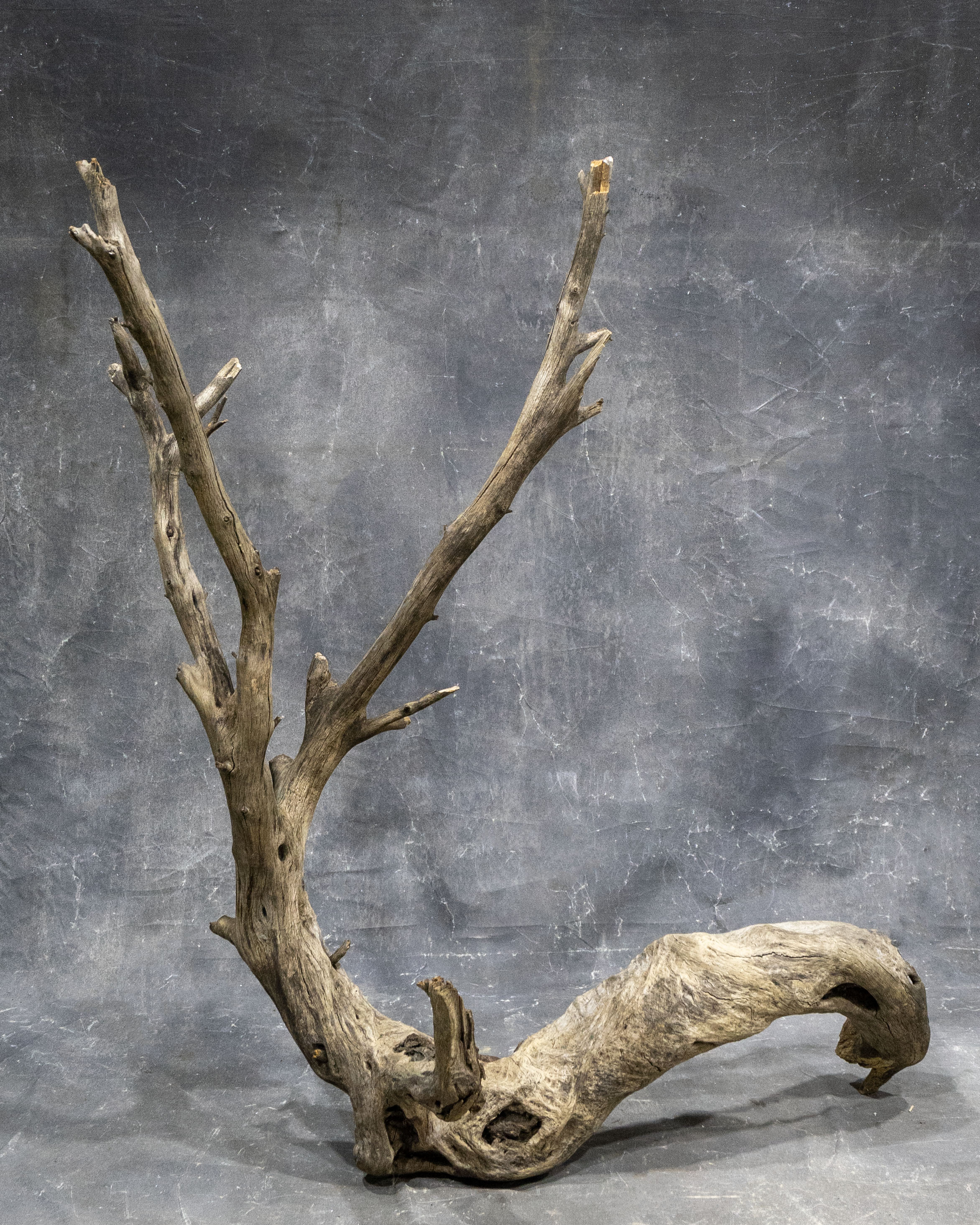Driftwood